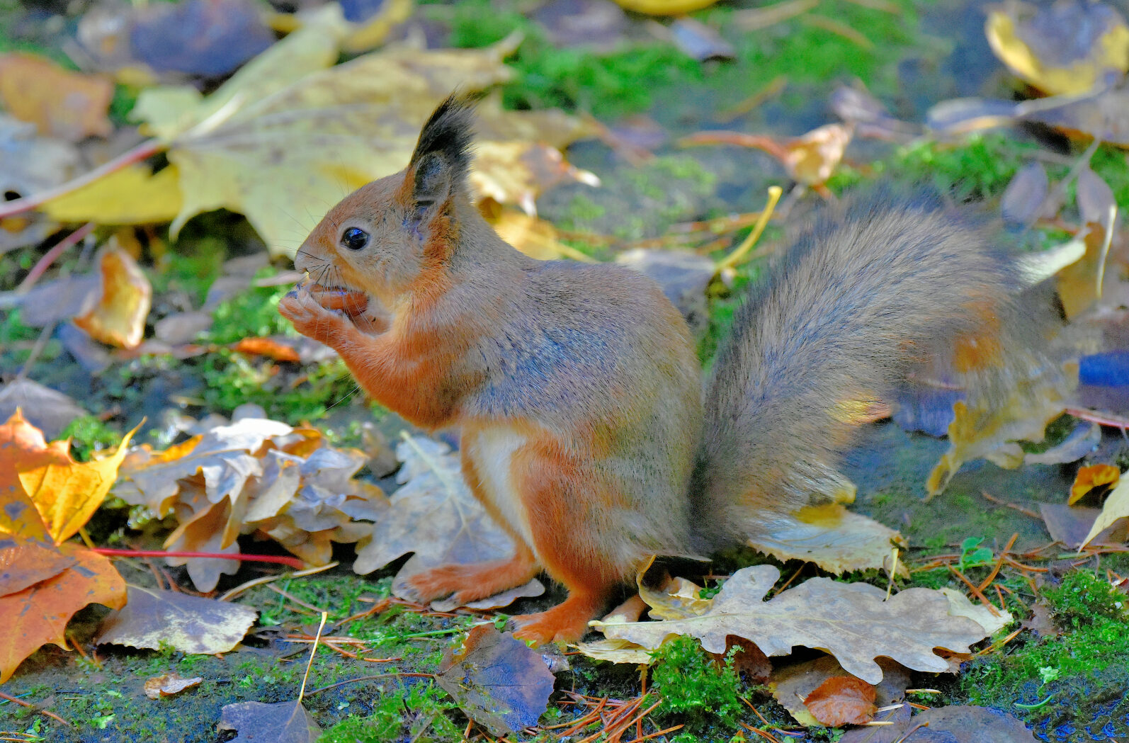 Valokuvaaja: Reijo Juurinen