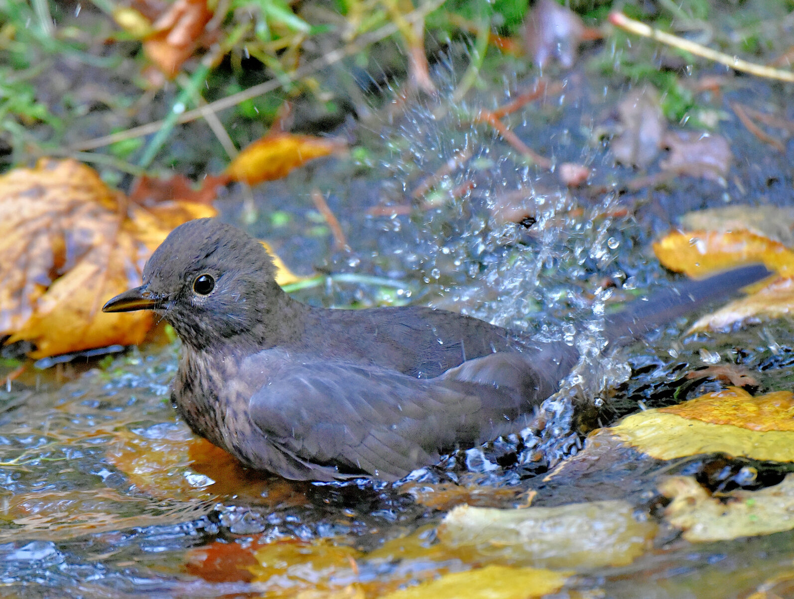 Valokuvaaja: Reijo Juurinen