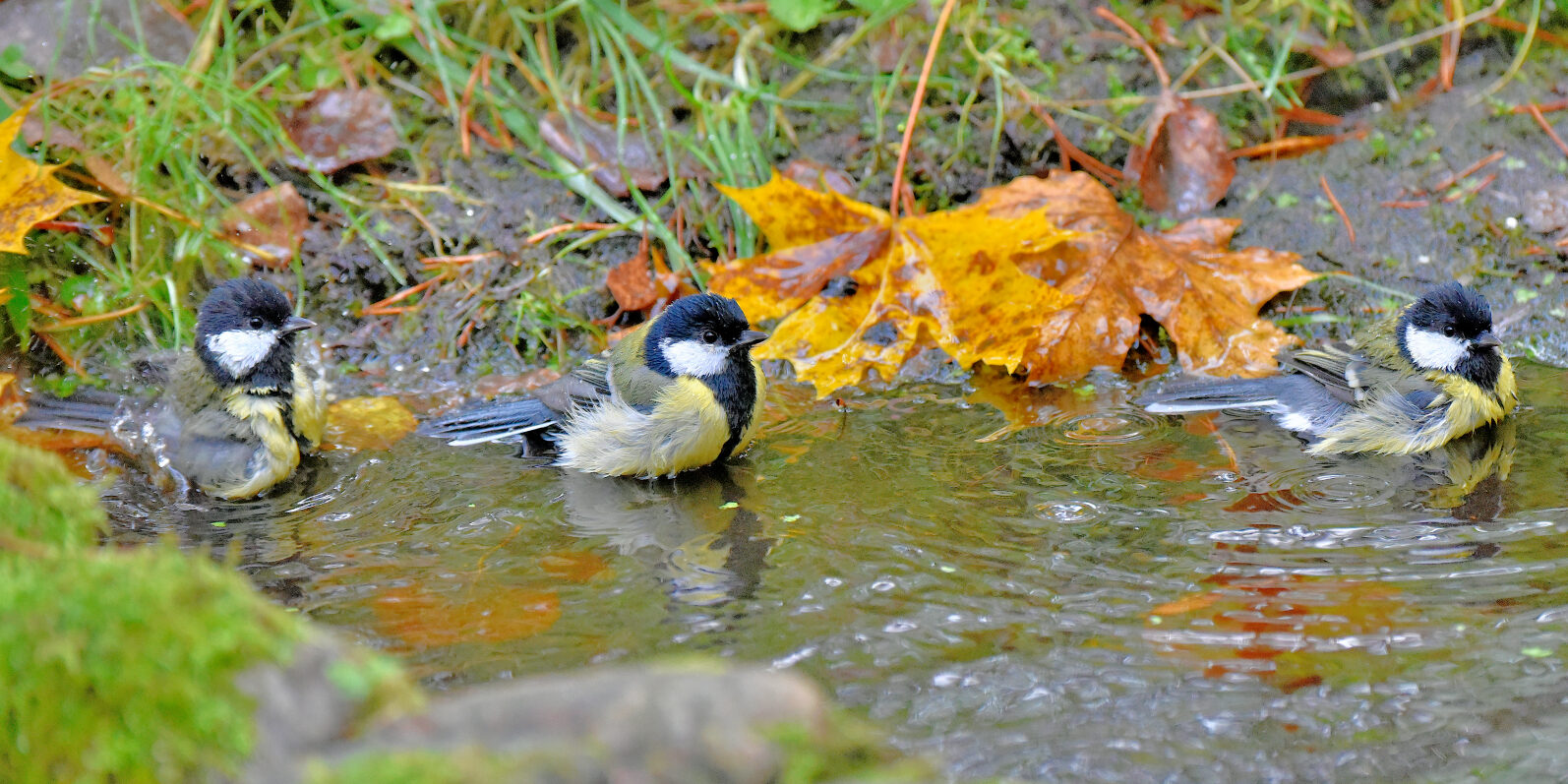 Valokuvaaja: Reijo Juurinen