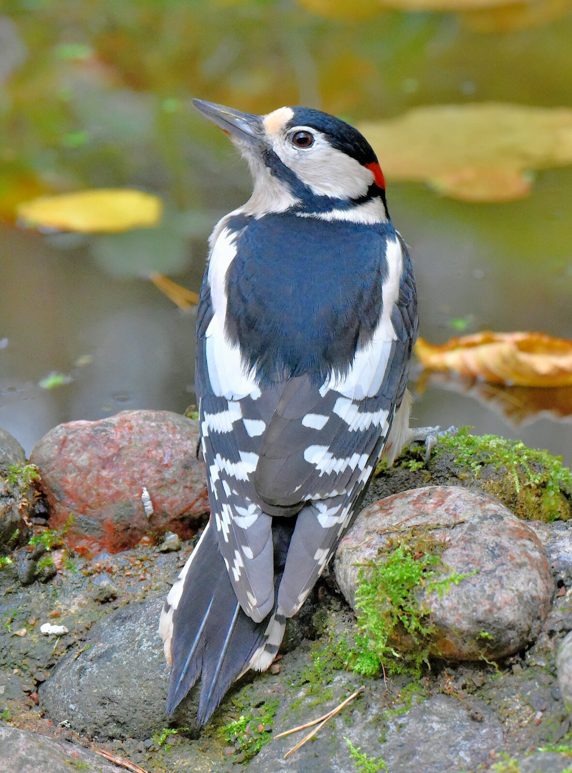 Valokuvaaja: Reijo Juurinen