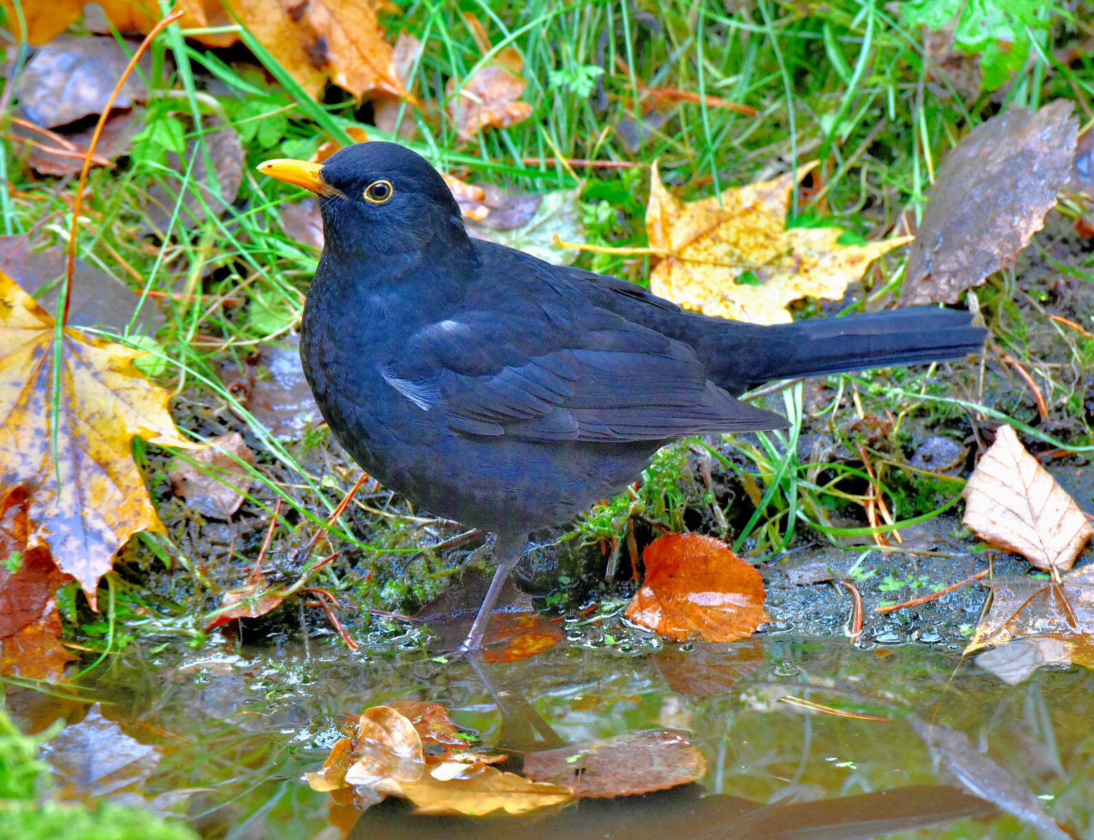 Valokuvaaja: Reijo Juurinen