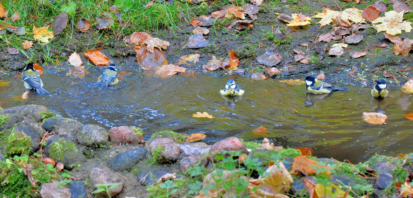 Valokuvaaja: Reijo Juurinen