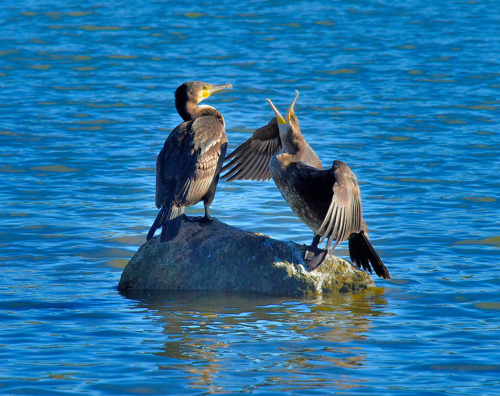 Valokuvaaja: Reijo Juurinen