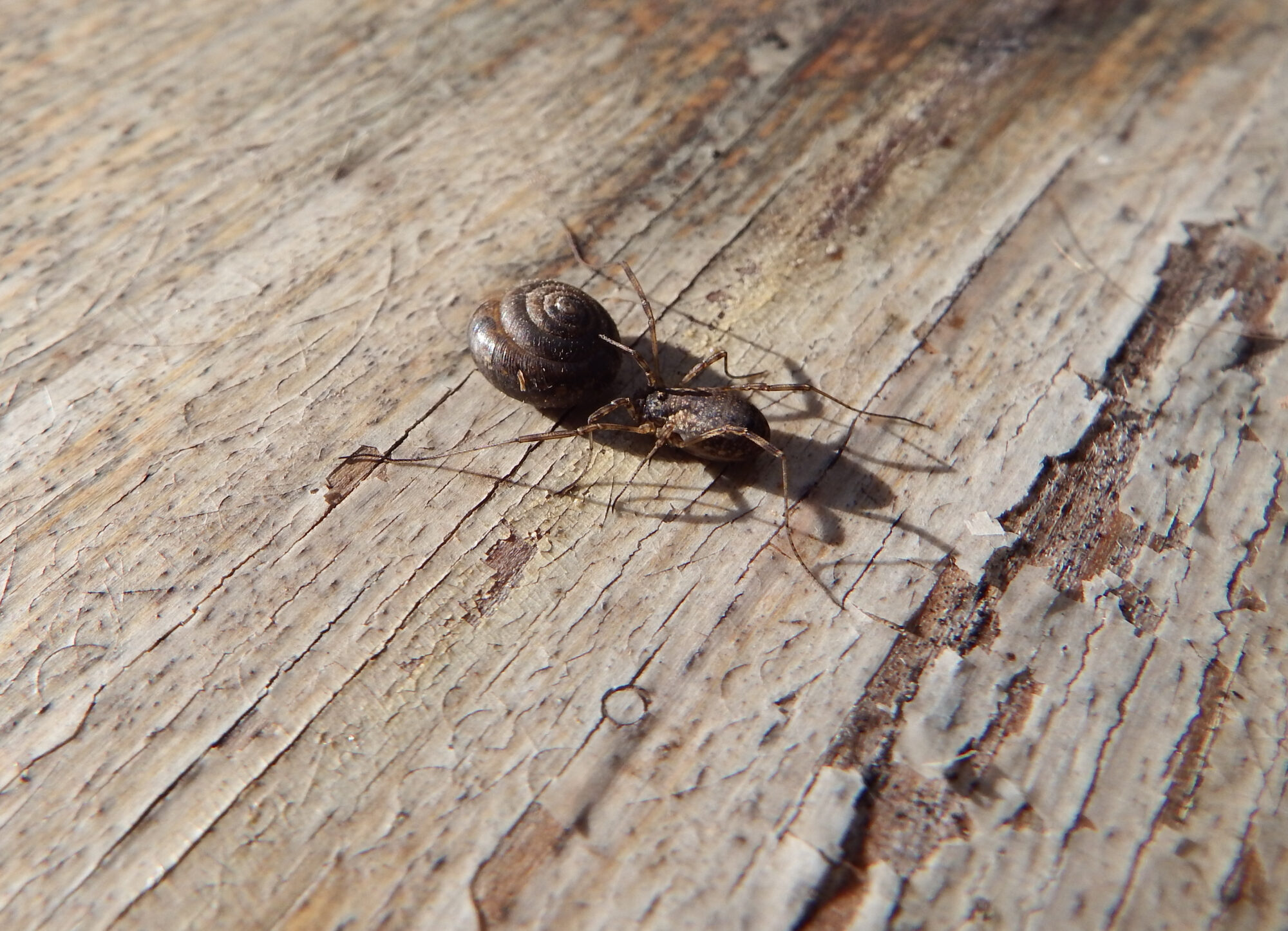 Valokuvaaja: Toni Asikainen