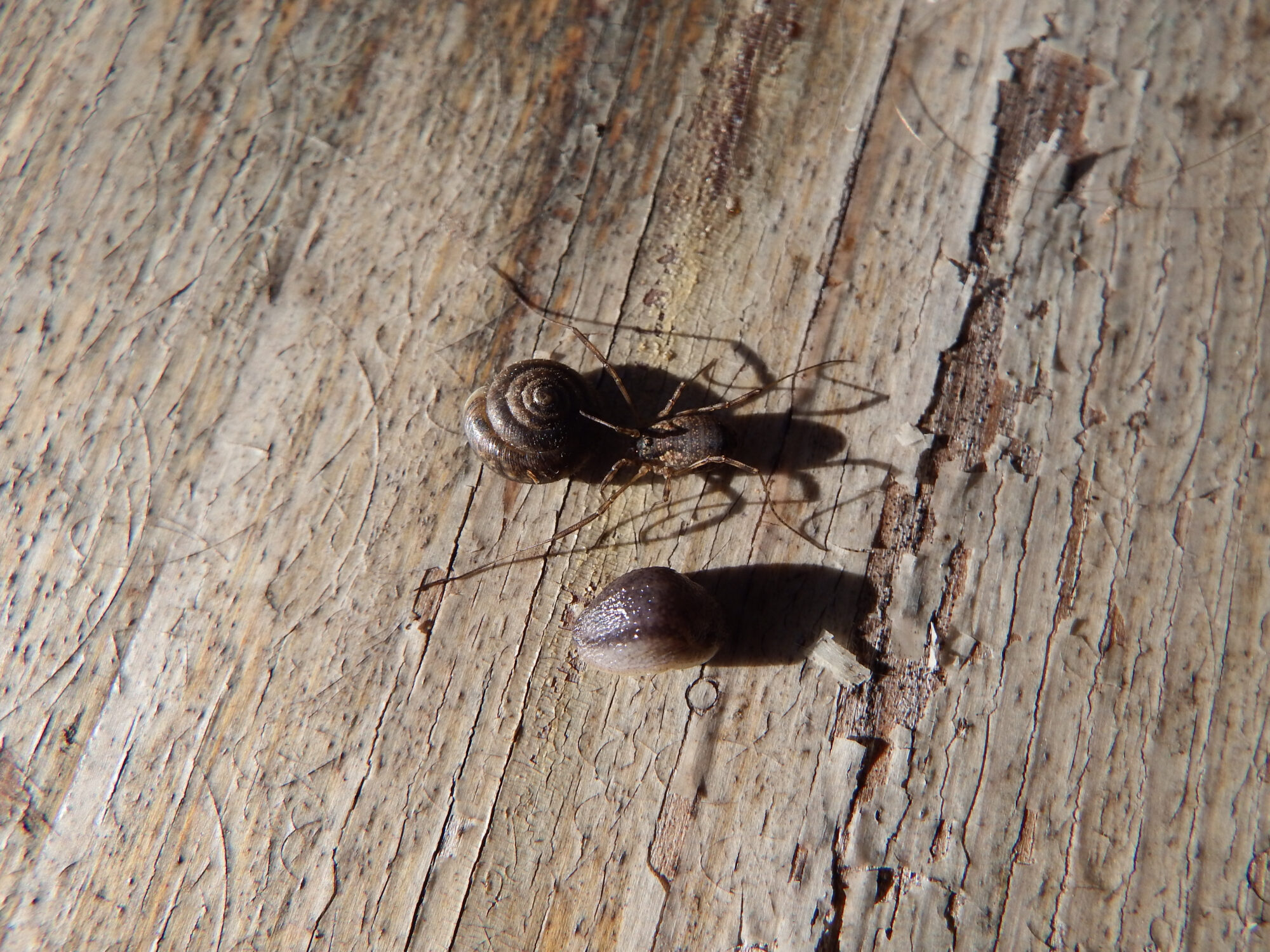 Valokuvaaja: Toni Asikainen