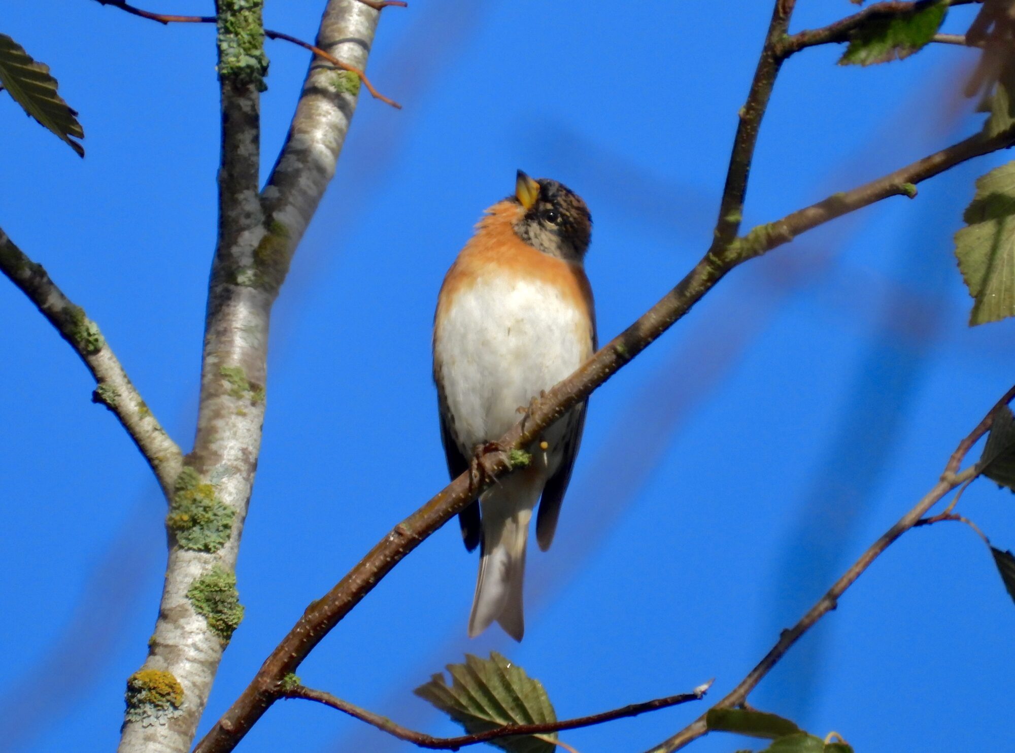 Valokuvaaja: Juhani Peltonen
