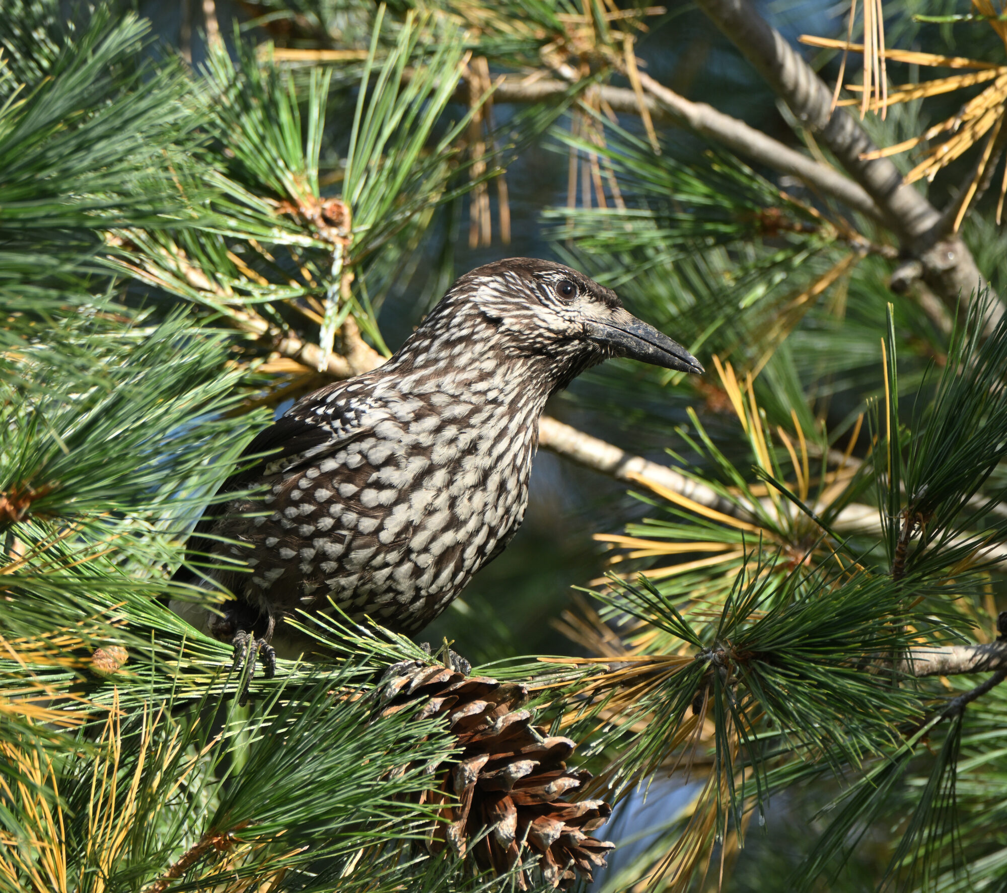 Valokuvaaja: Asko Heikkinen