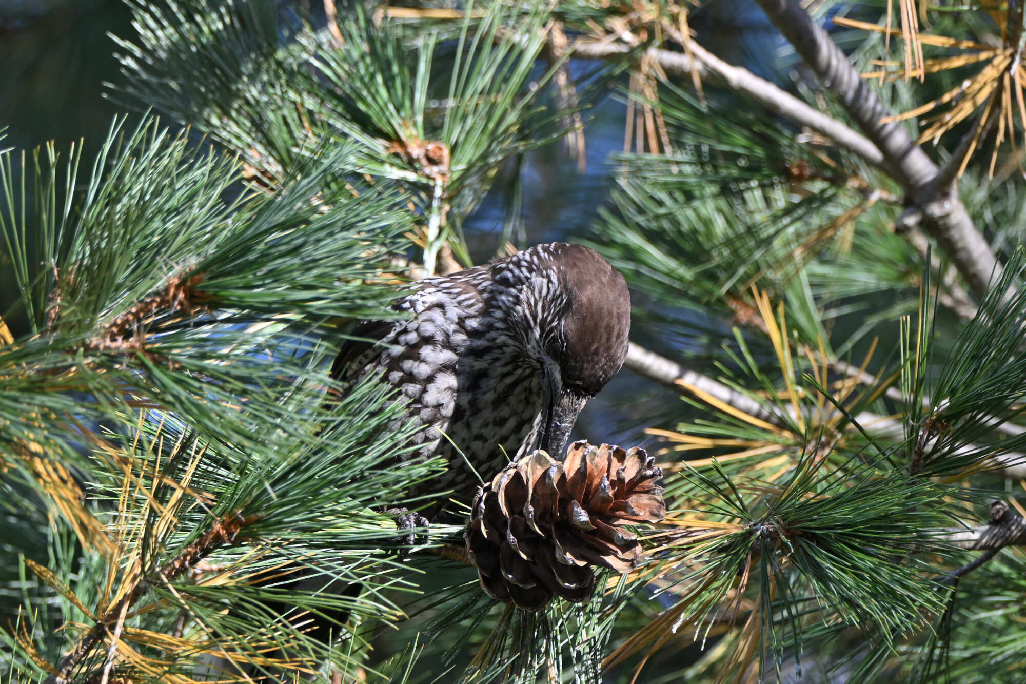 Valokuvaaja: Asko Heikkinen