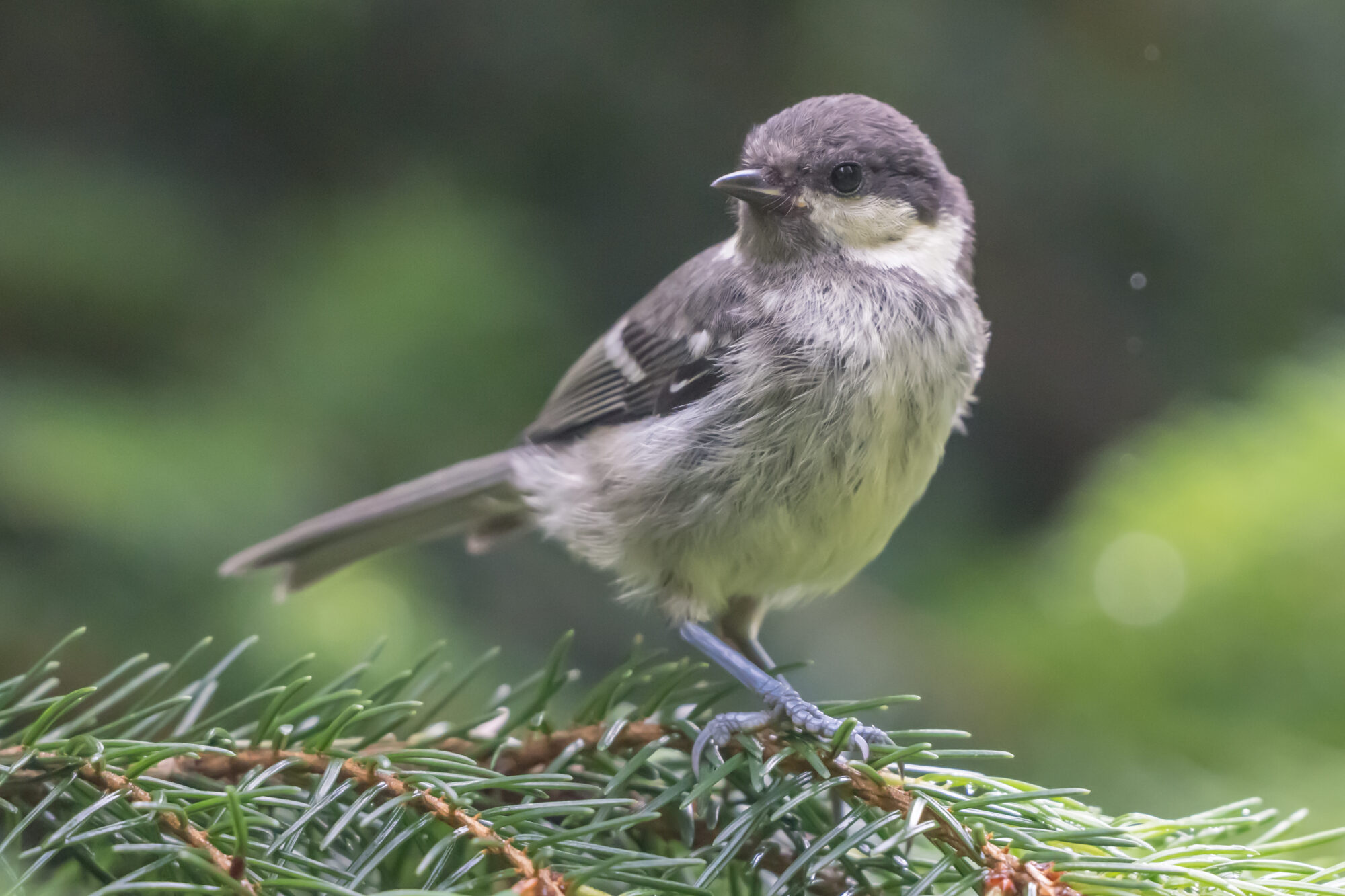 Valokuvaaja: Markku Saarinen