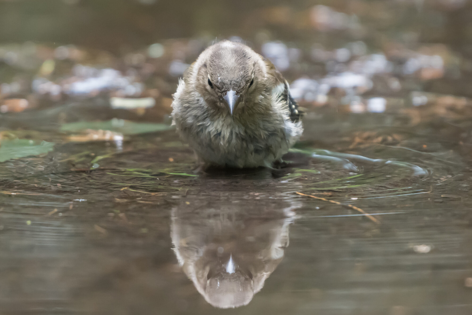 Valokuvaaja: Markku Saarinen