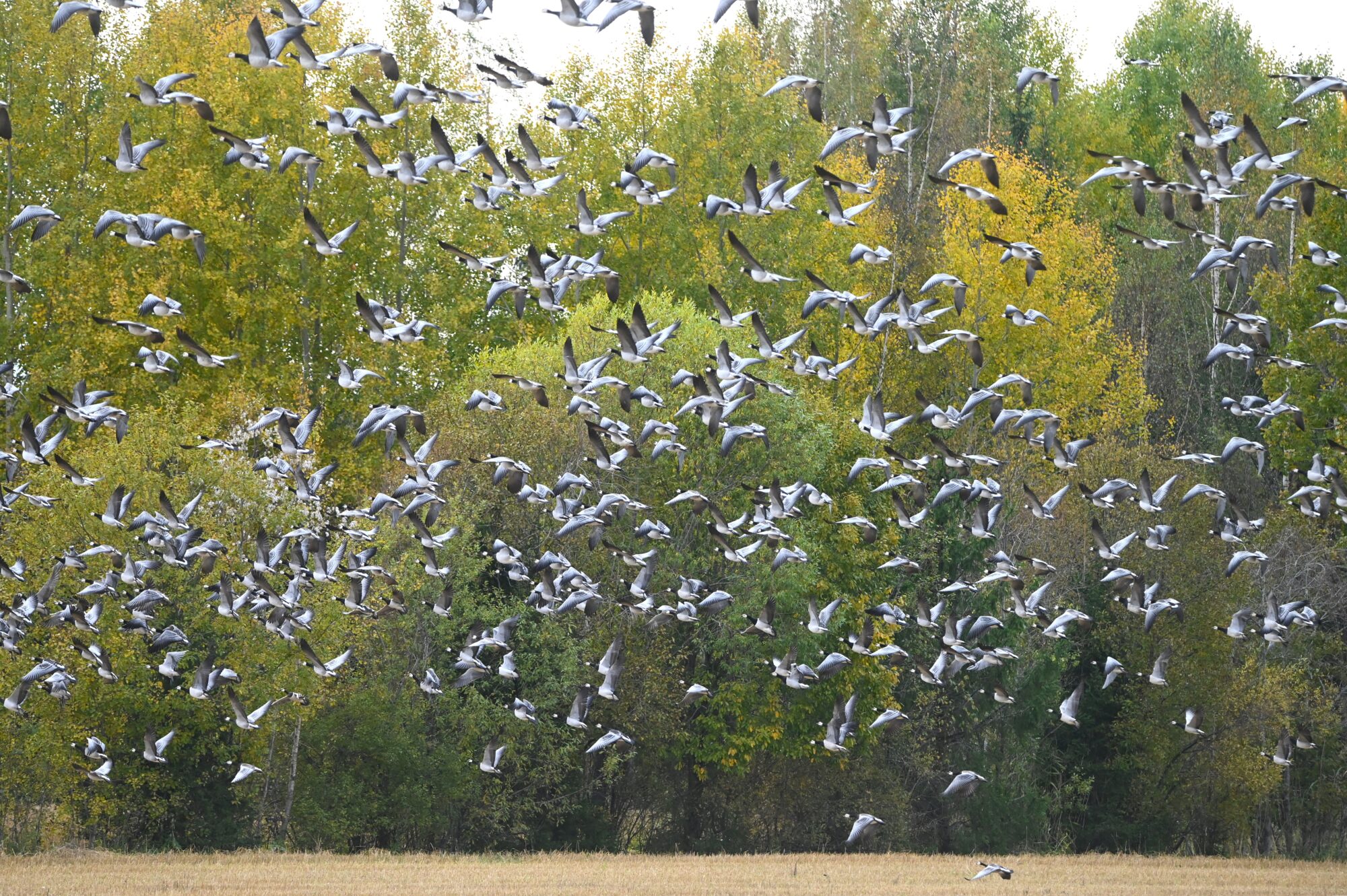 Valokuvaaja: Maarit Siitonen