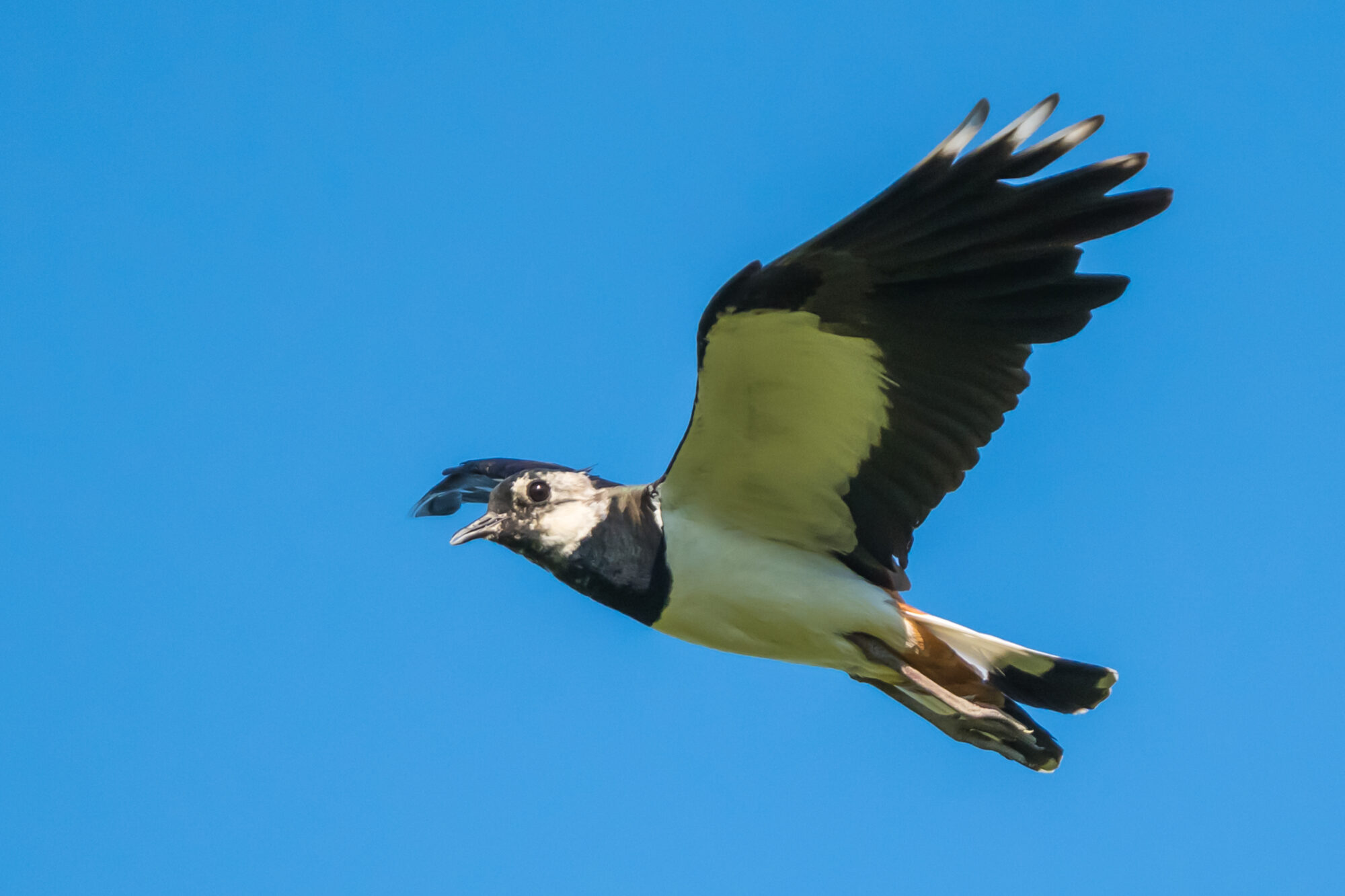 Valokuvaaja: Markku Saarinen