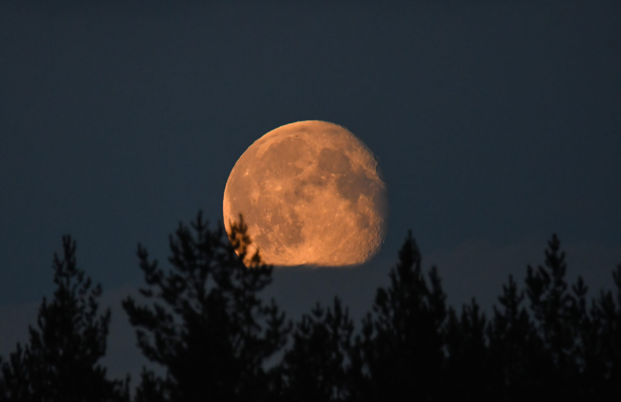 Valokuvaaja: Maija savolainen