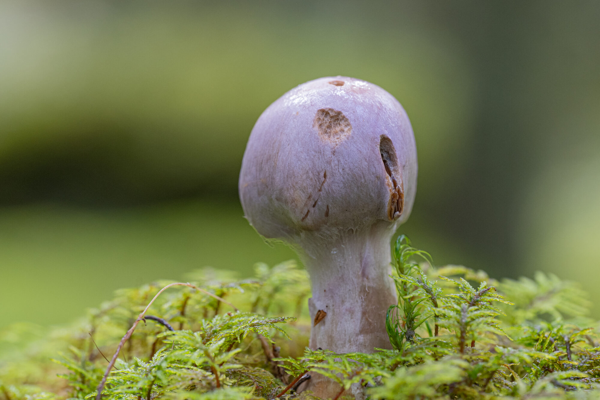 Valokuvaaja: Markku Saarinen