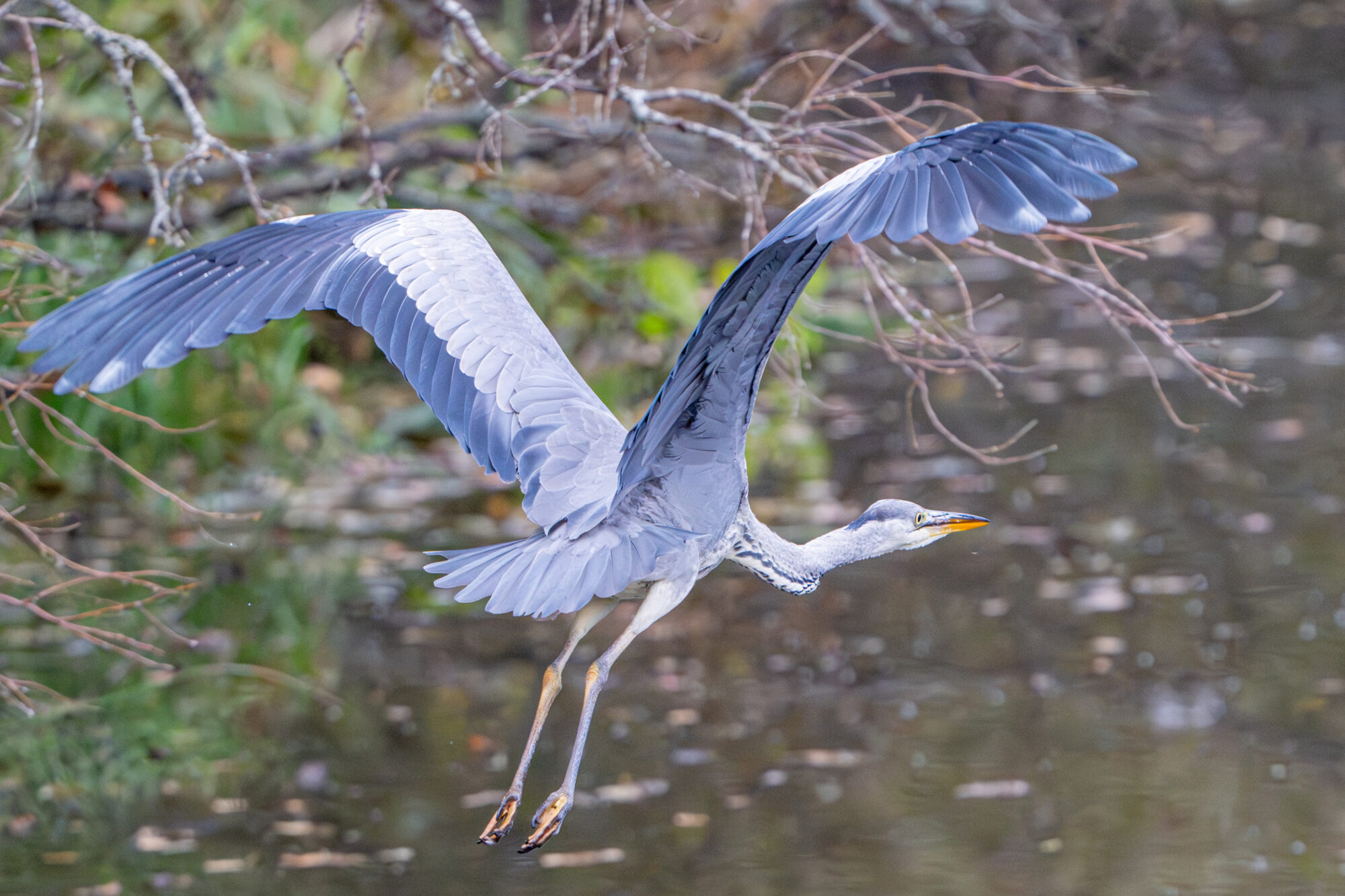Valokuvaaja: Markku Saarinen