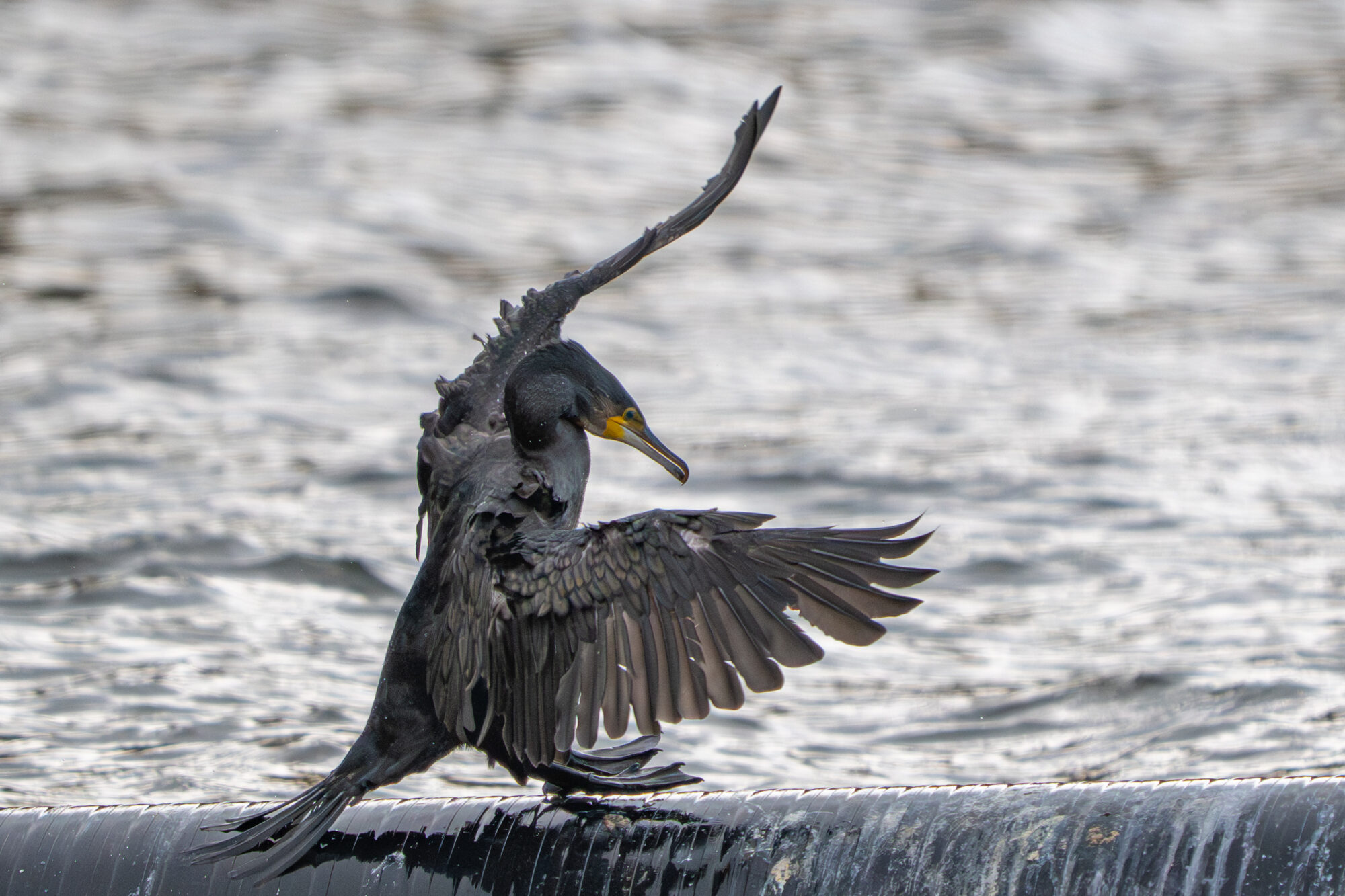 Valokuvaaja: Markku Saarinen