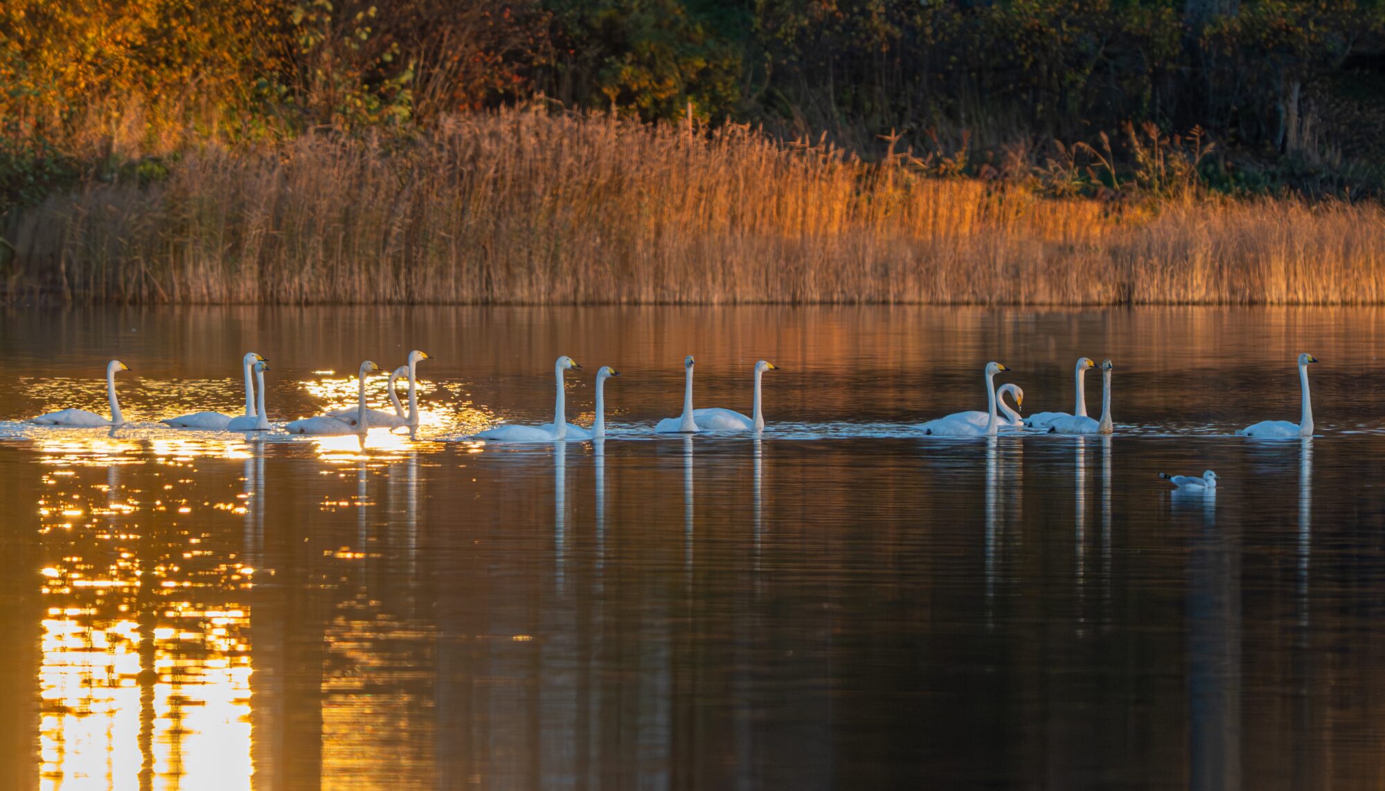Valokuvaaja: Markku Saarinen