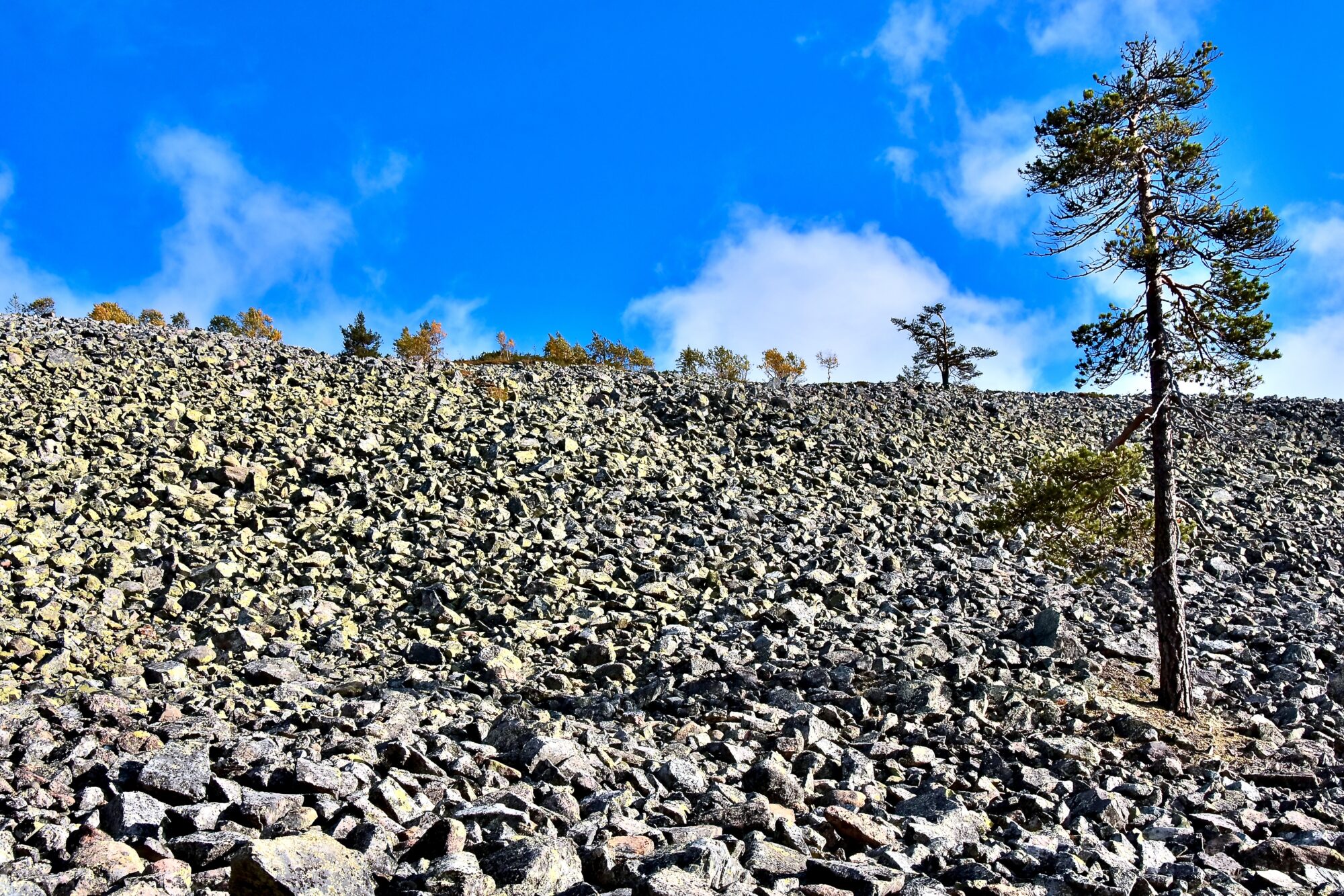 Valokuvaaja: Lasse Rokka