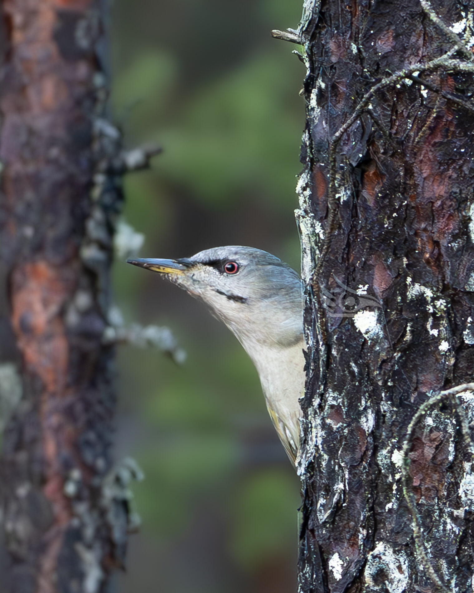 Valokuvaaja: Milla Rannila