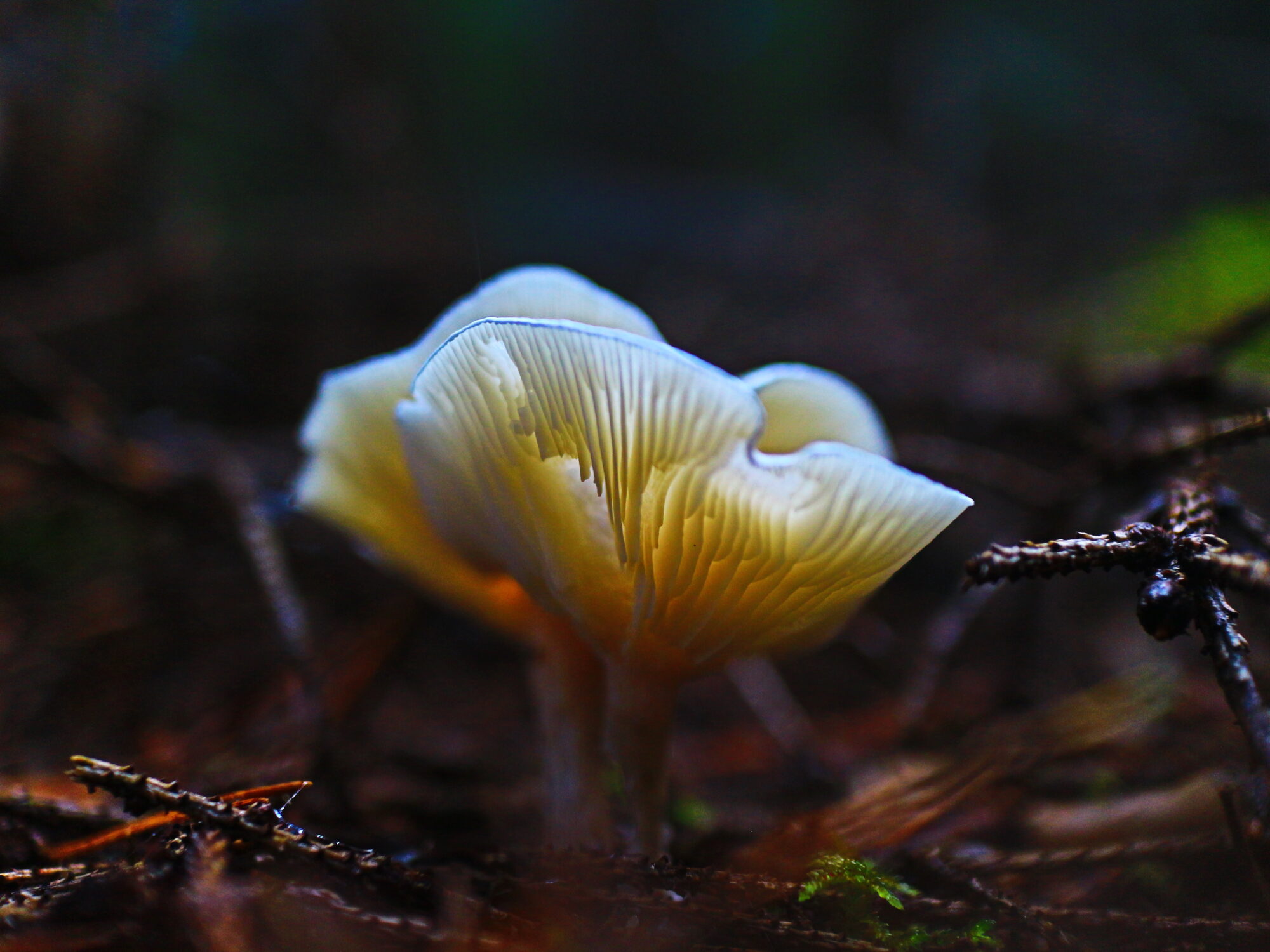 Valokuvaaja: Harri Qvist