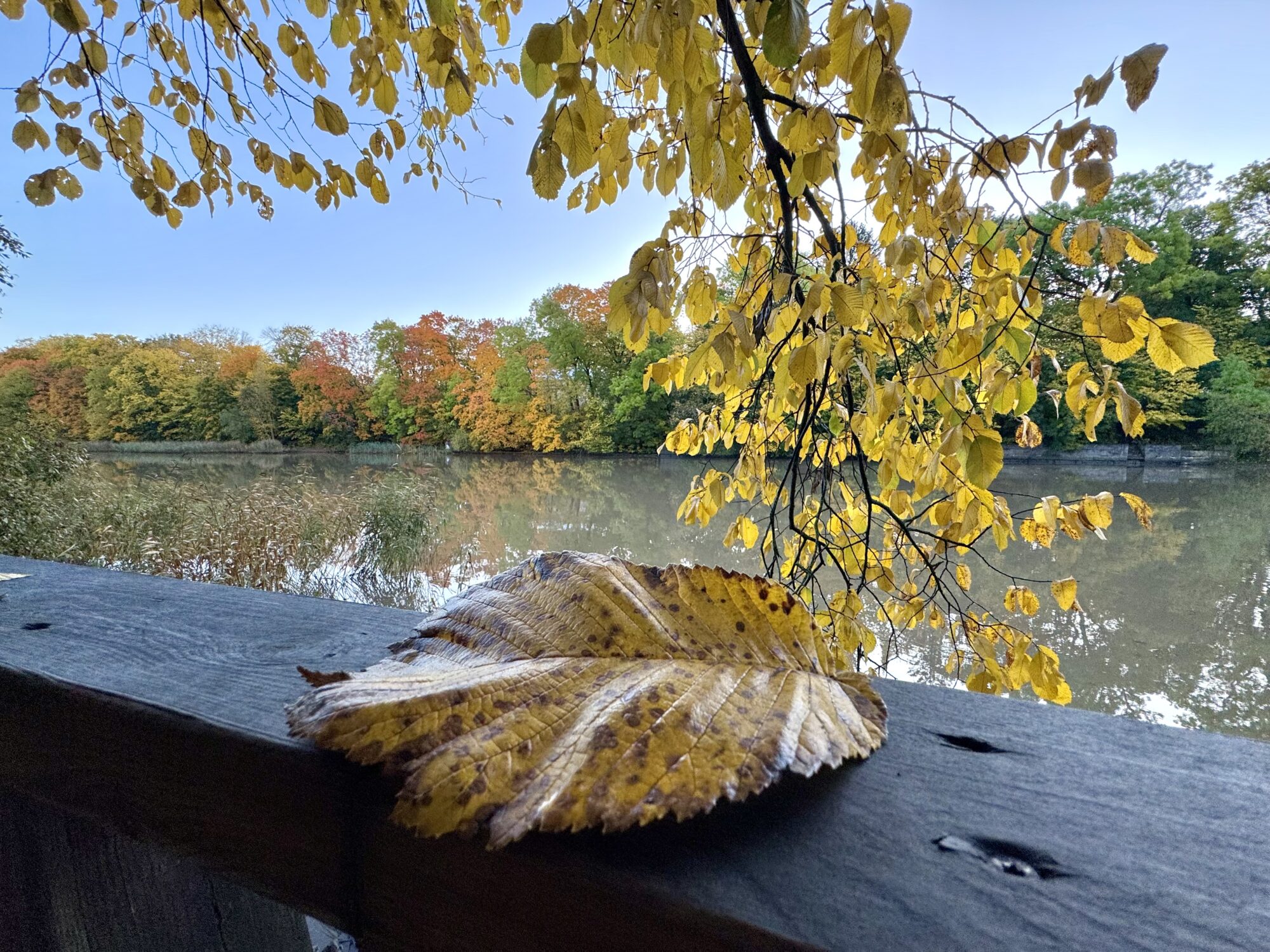 Valokuvaaja: Juhani Peltonen