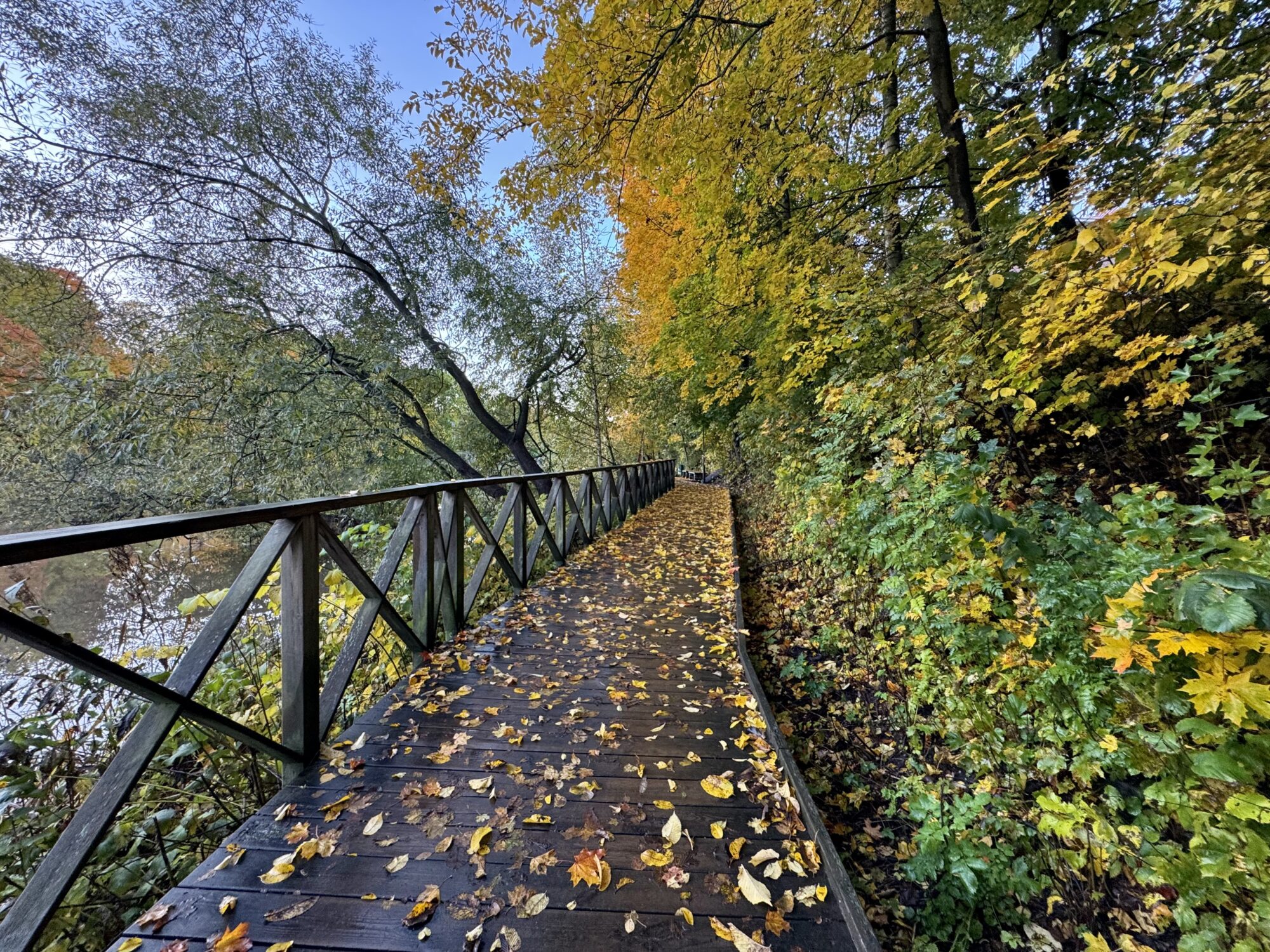 Valokuvaaja: Juhani Peltonen