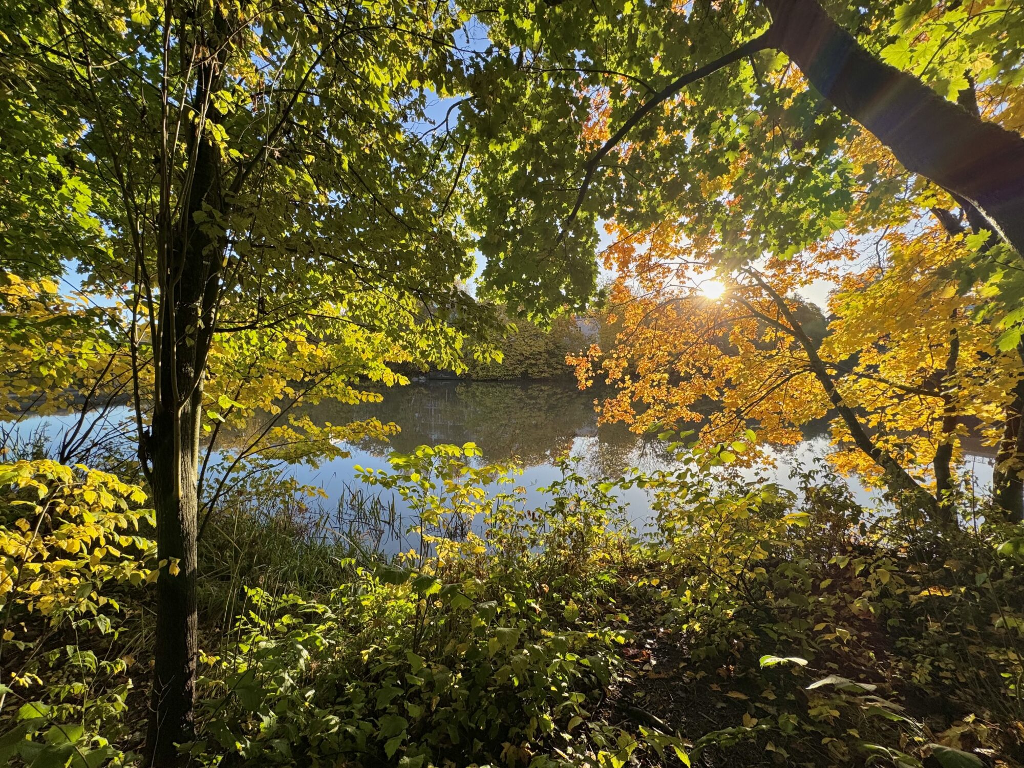 Valokuvaaja: Juhani Peltonen