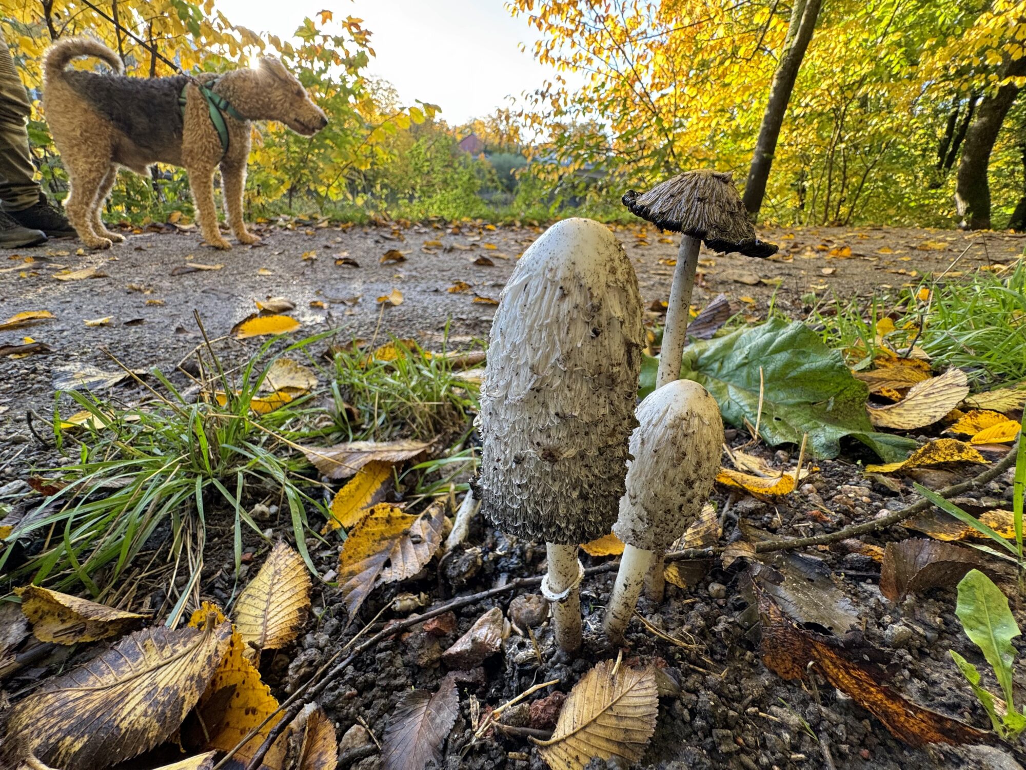 Valokuvaaja: Juhani Peltonen