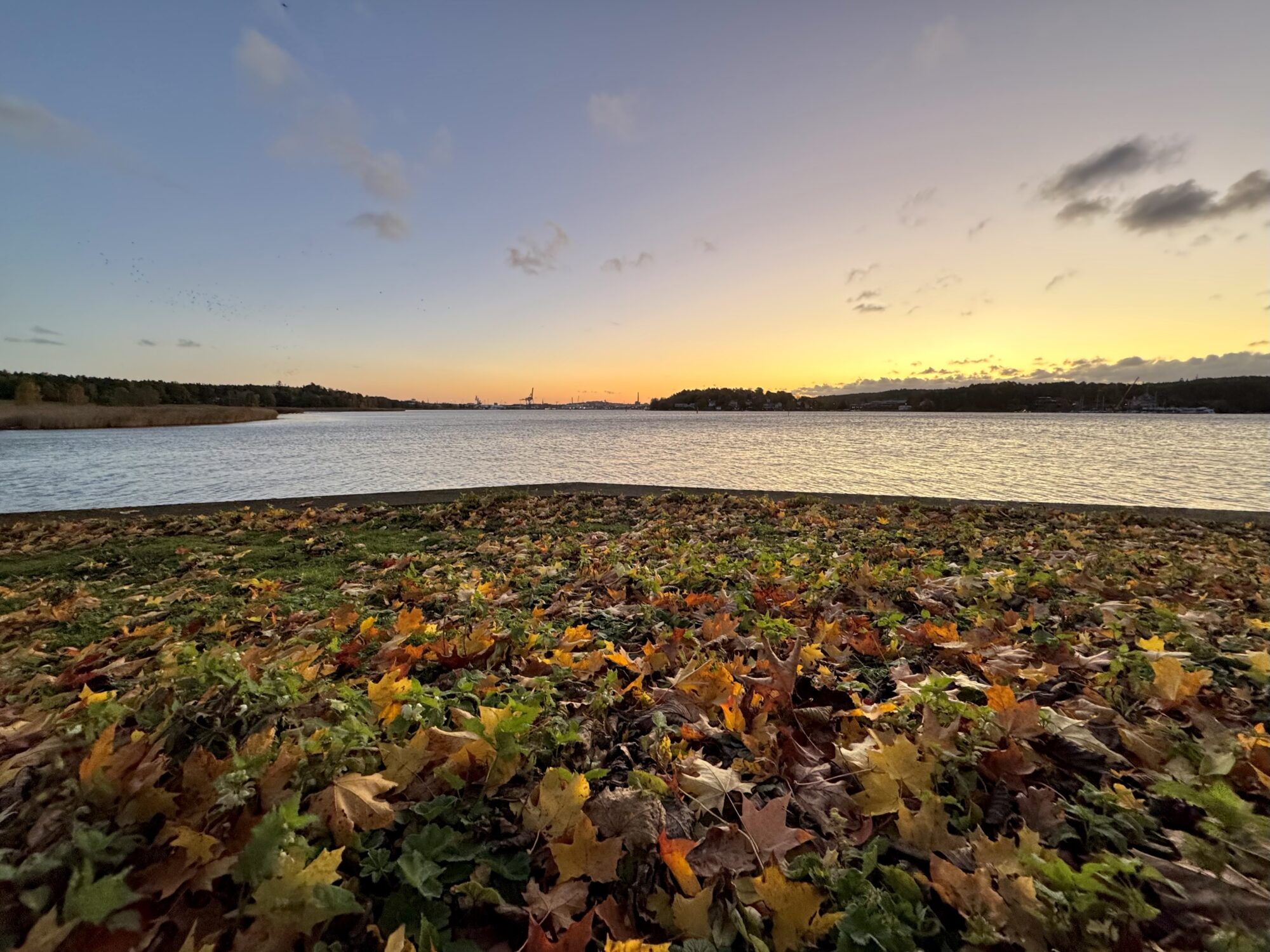 Valokuvaaja: Juhani Peltonen