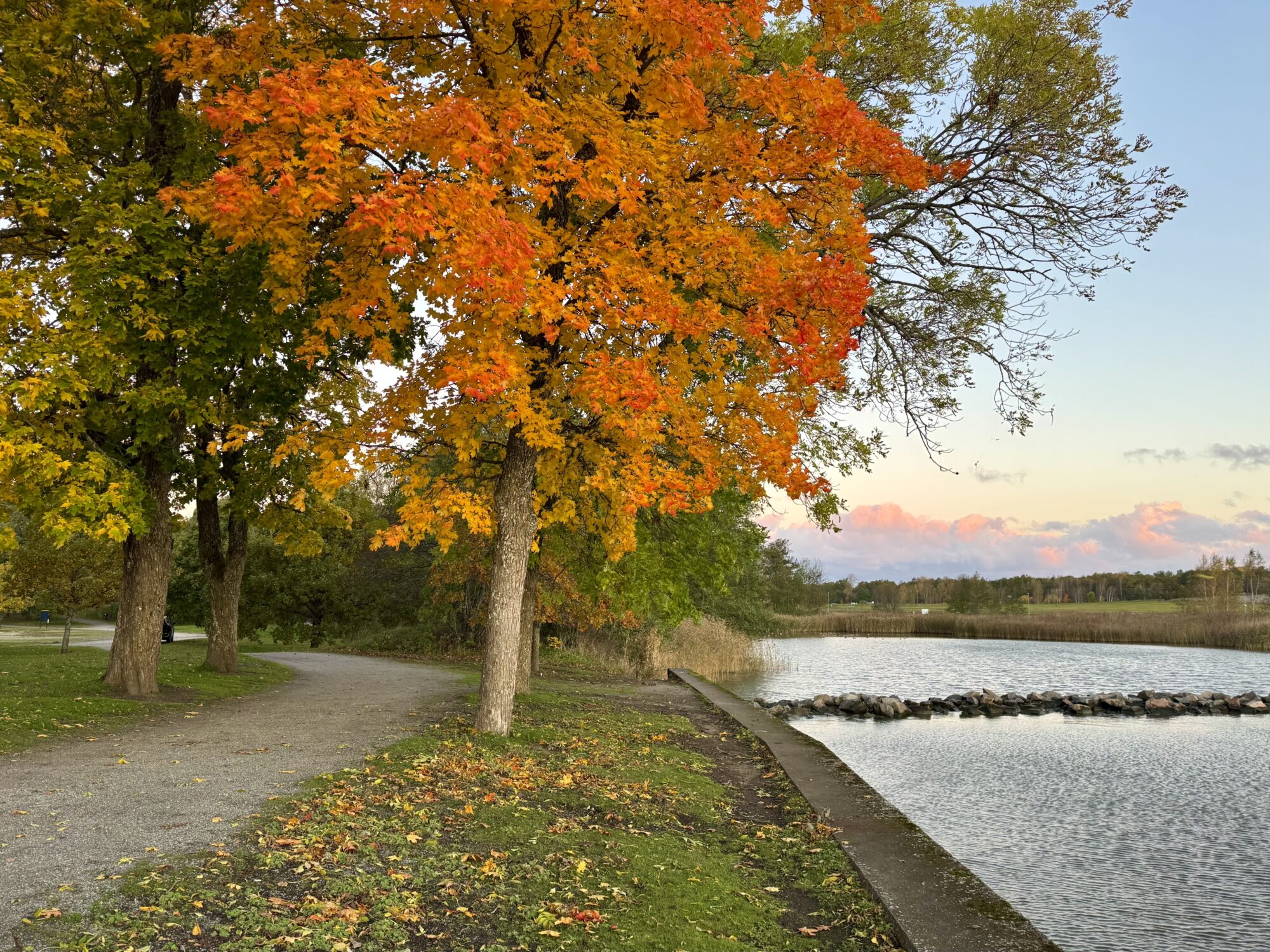 Valokuvaaja: Juhani Peltonen