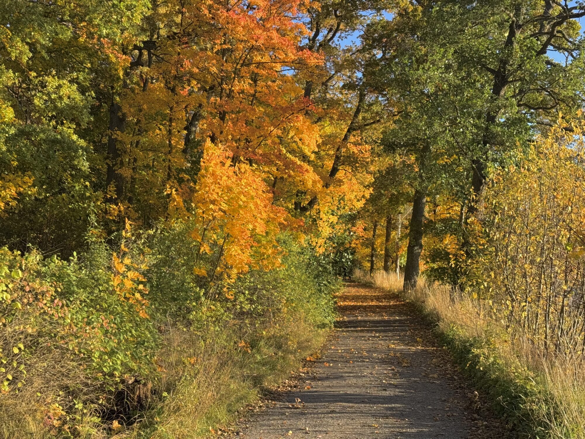 Valokuvaaja: Juhani Peltonen