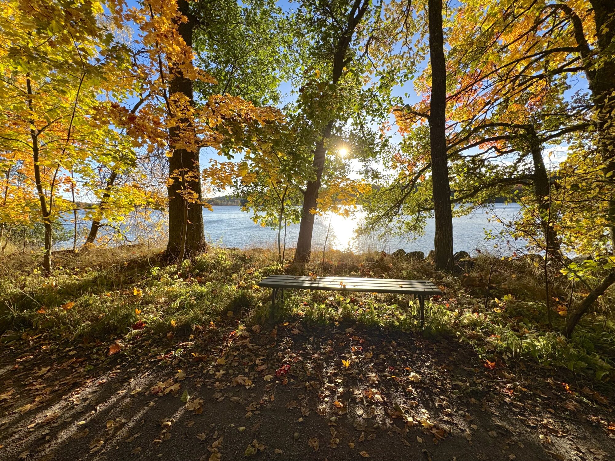 Valokuvaaja: Juhani Peltonen