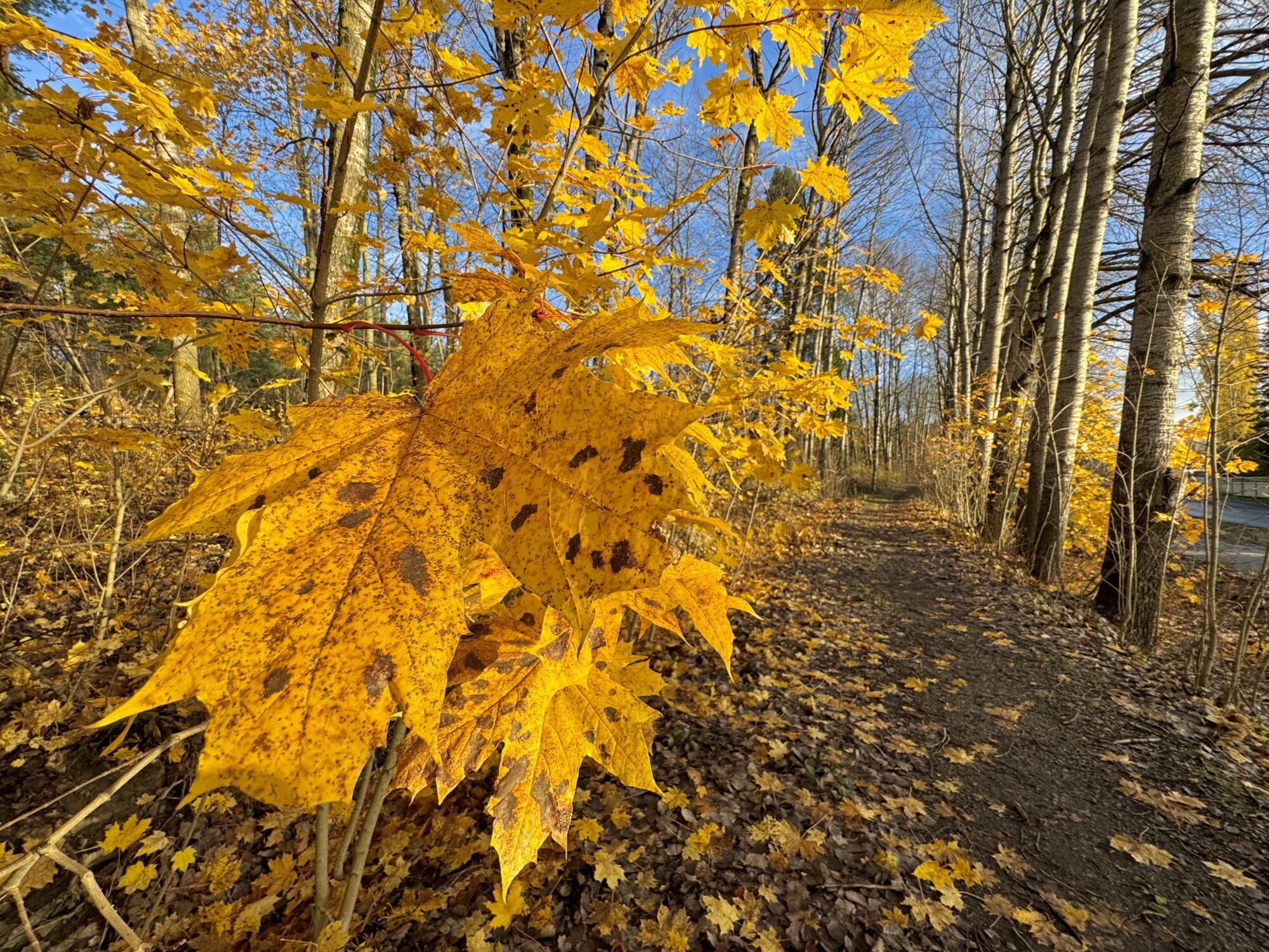 Valokuvaaja: Juhani Peltonen