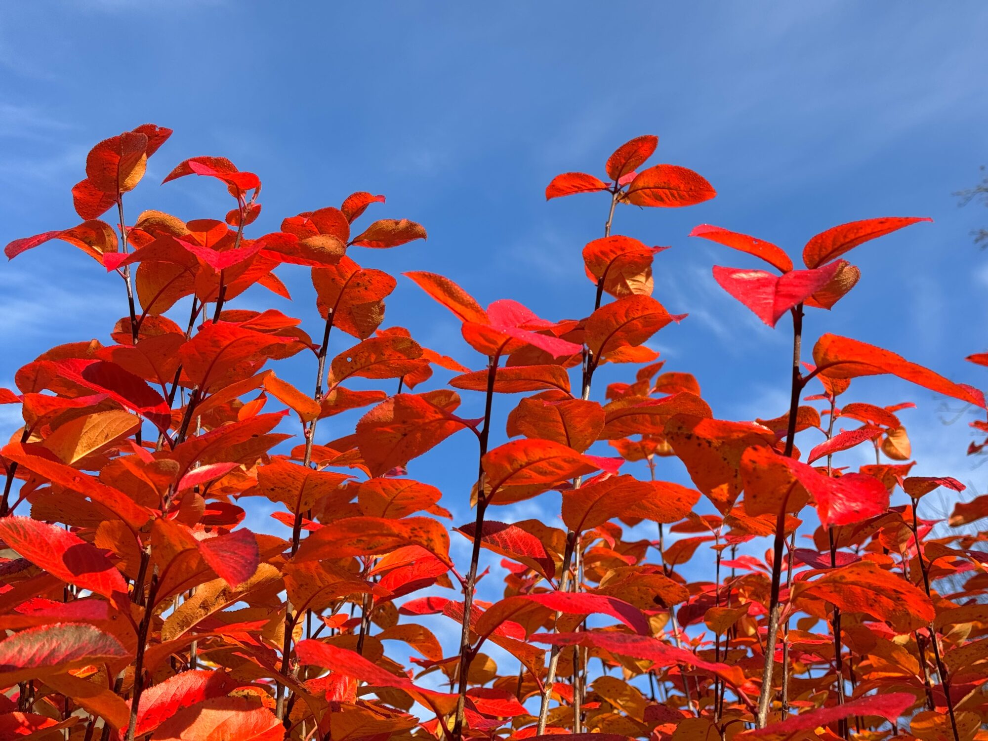 Valokuvaaja: Juhani Peltonen