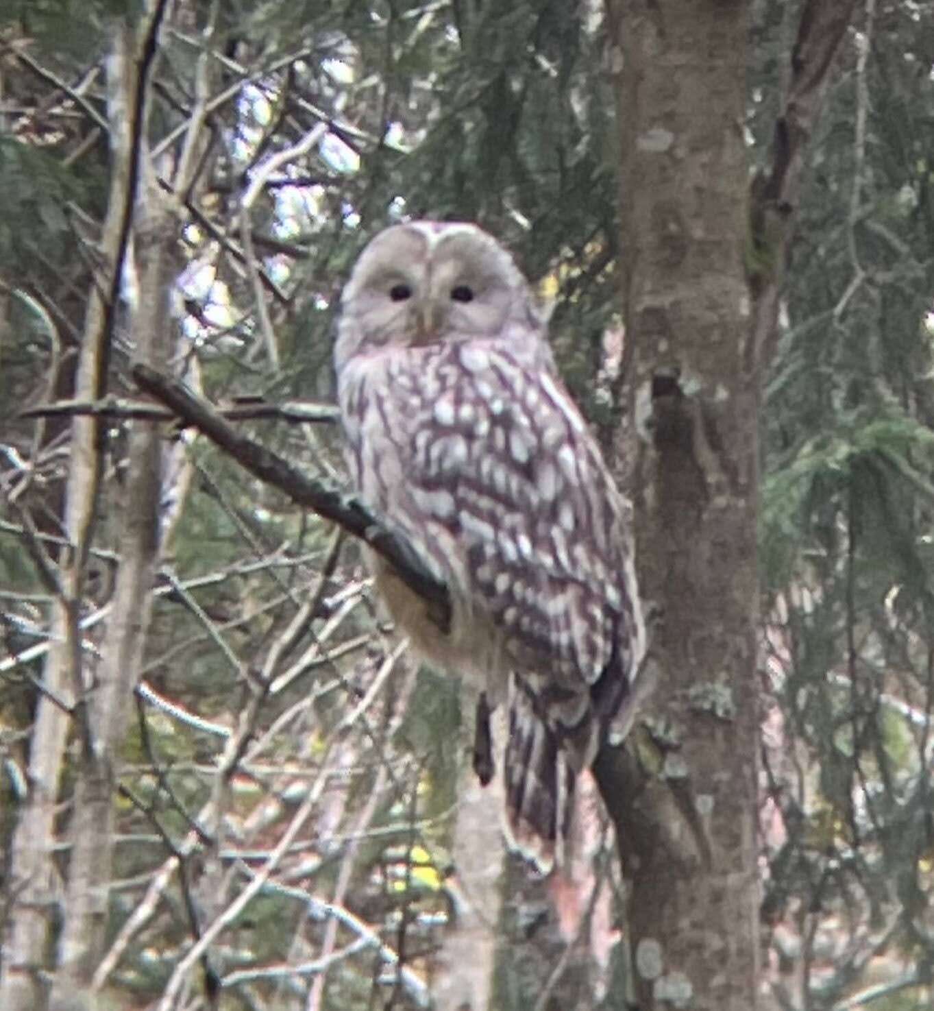 Valokuvaaja: Emilia Miettinen