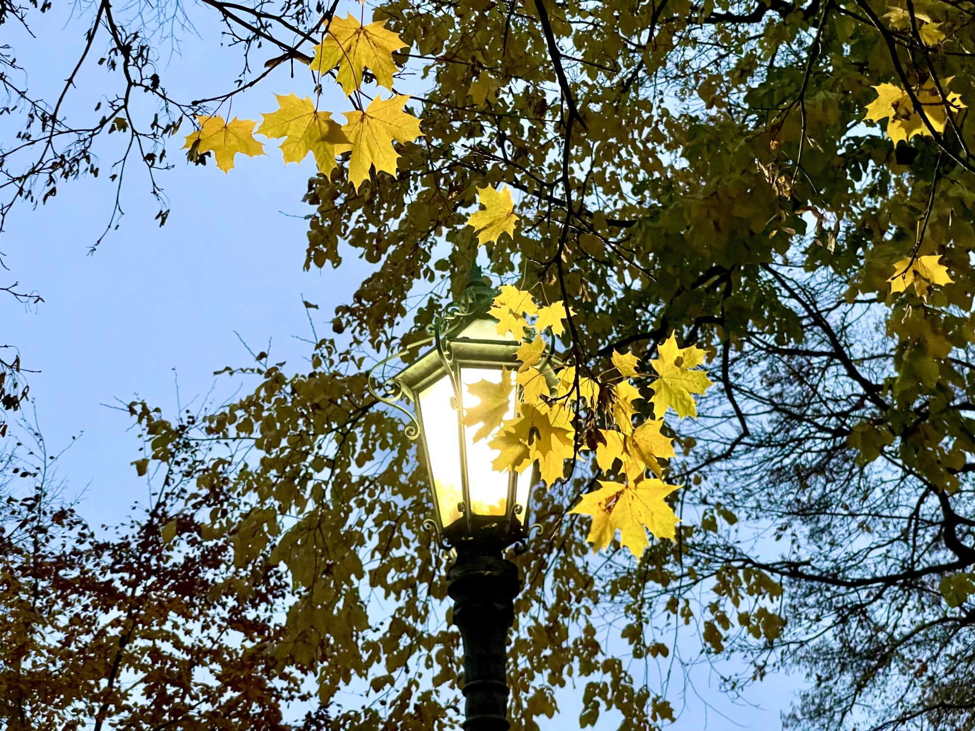 Valokuvaaja: Juhani Peltonen