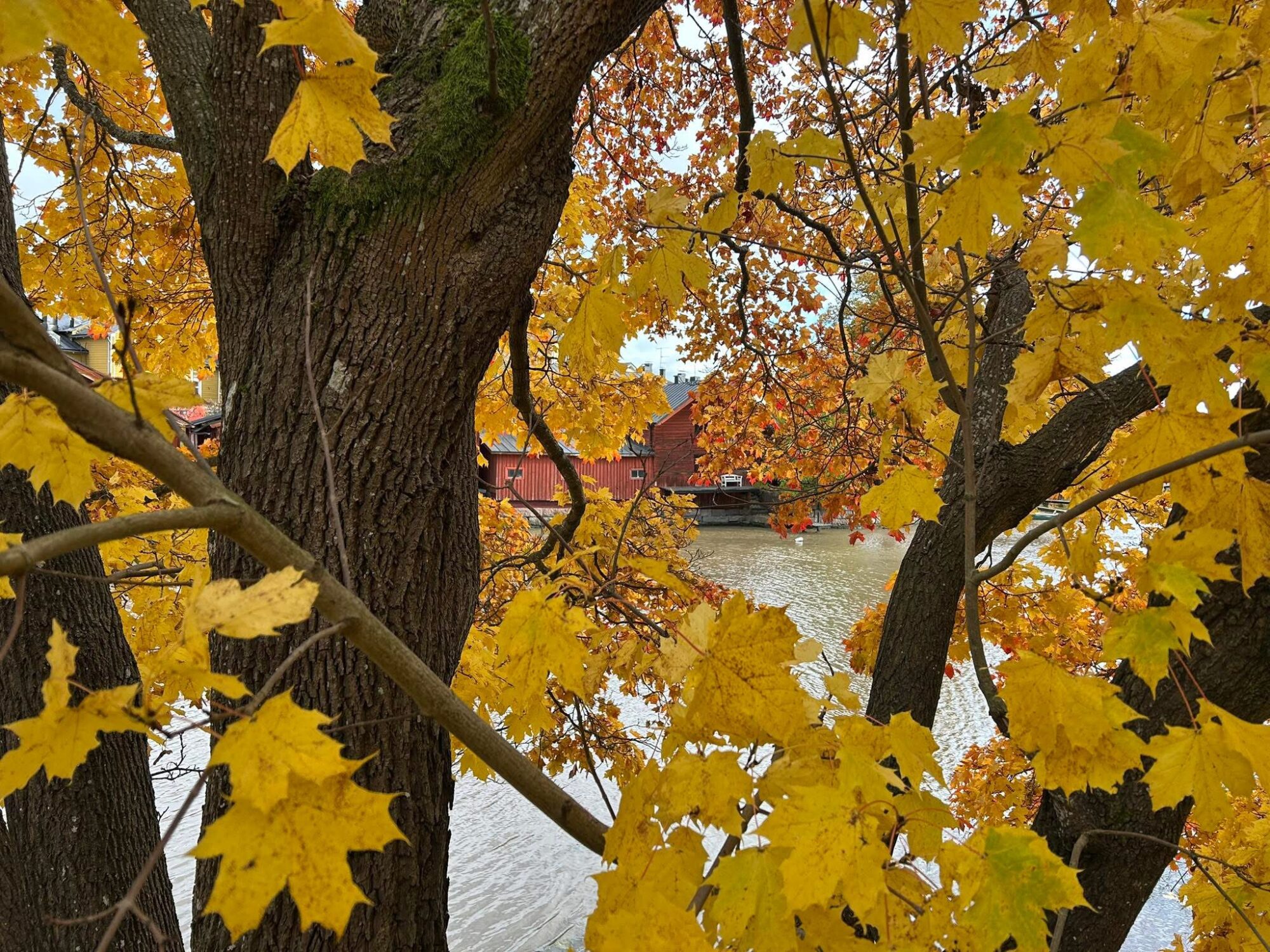 Valokuvaaja: tapio keinonen