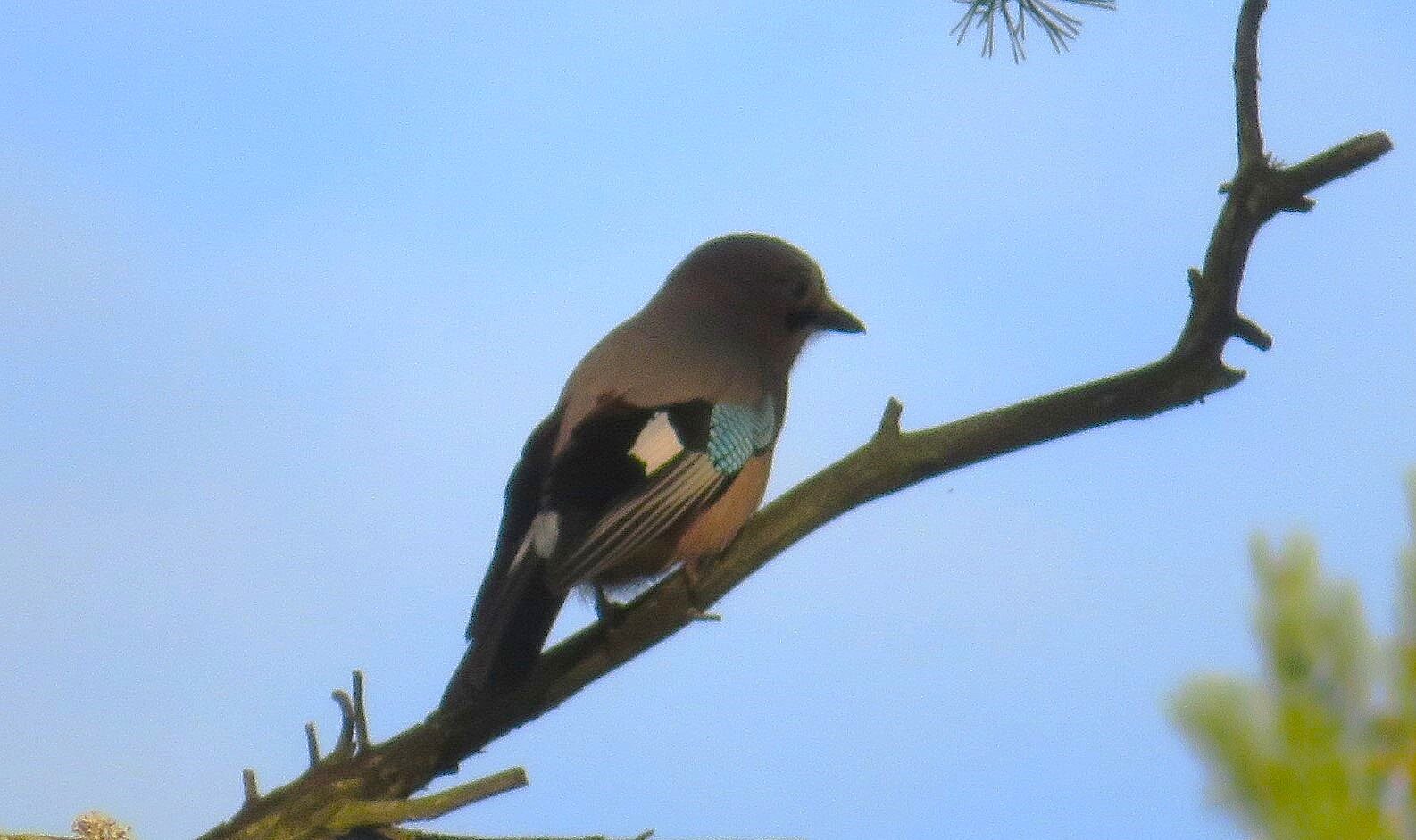 Valokuvaaja: Risto Kangassalo