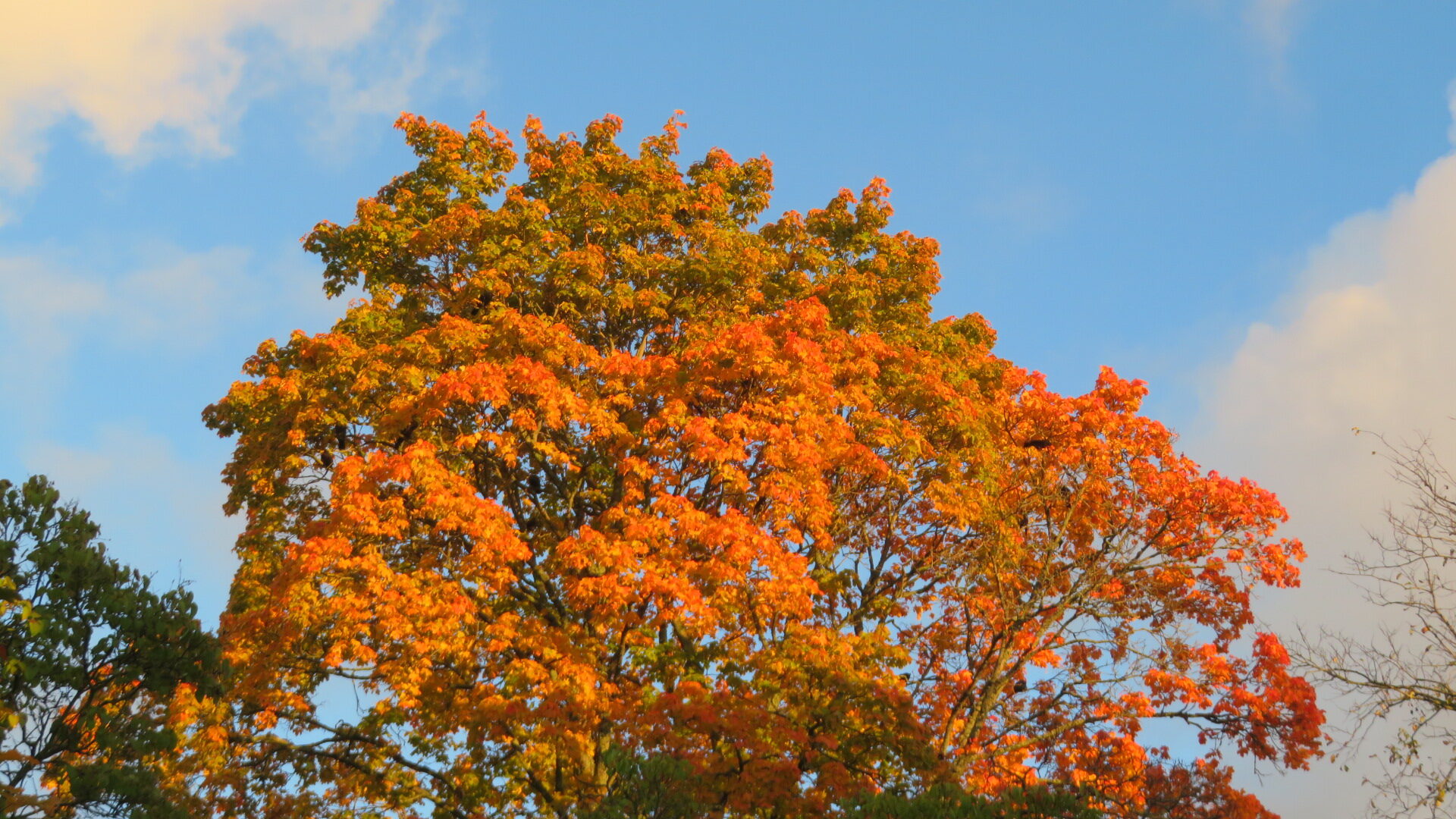 Valokuvaaja: Risto Kangassalo