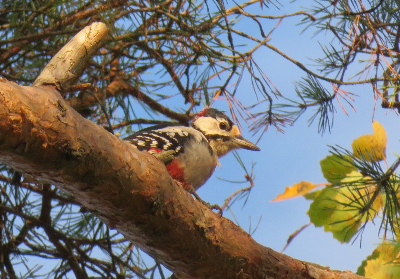 Valokuvaaja: Risto Kangassalo