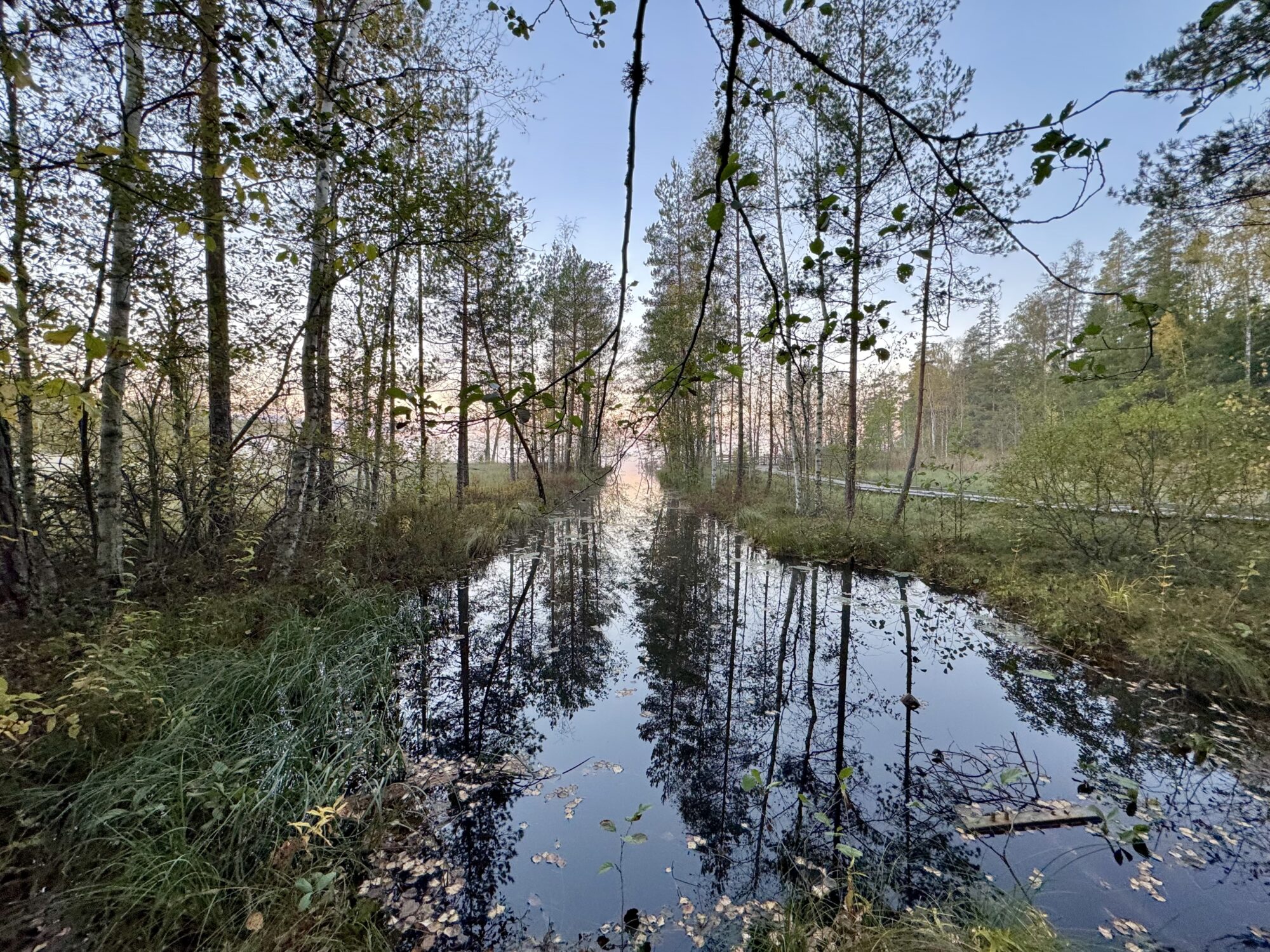 Valokuvaaja: Juhani Peltonen