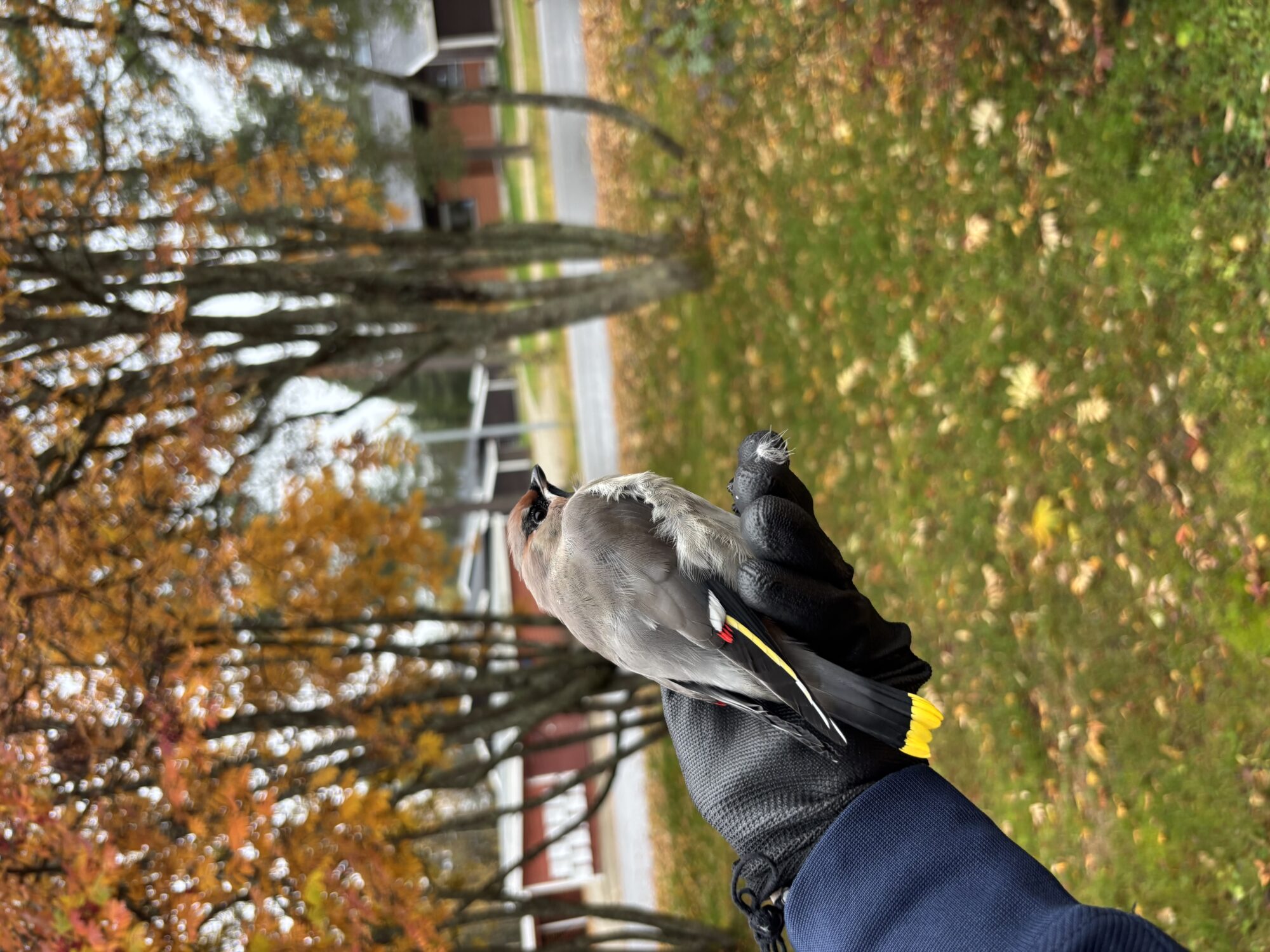 Valokuvaaja: Anna Rautanen