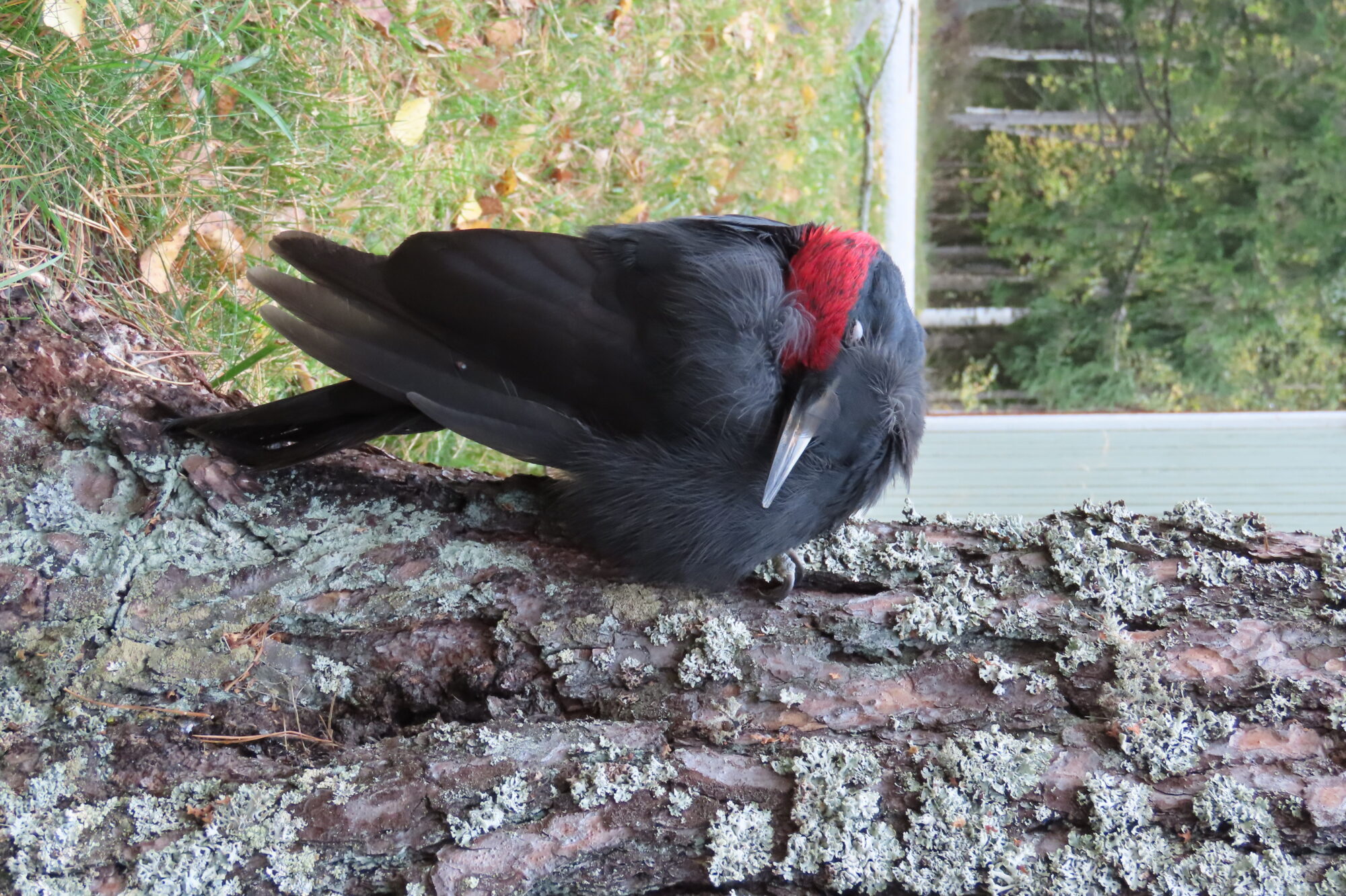 Valokuvaaja: Jari Eeva