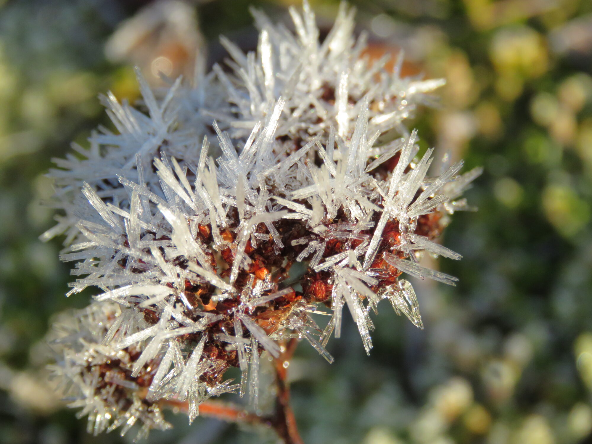 Valokuvaaja: Onni Korvola