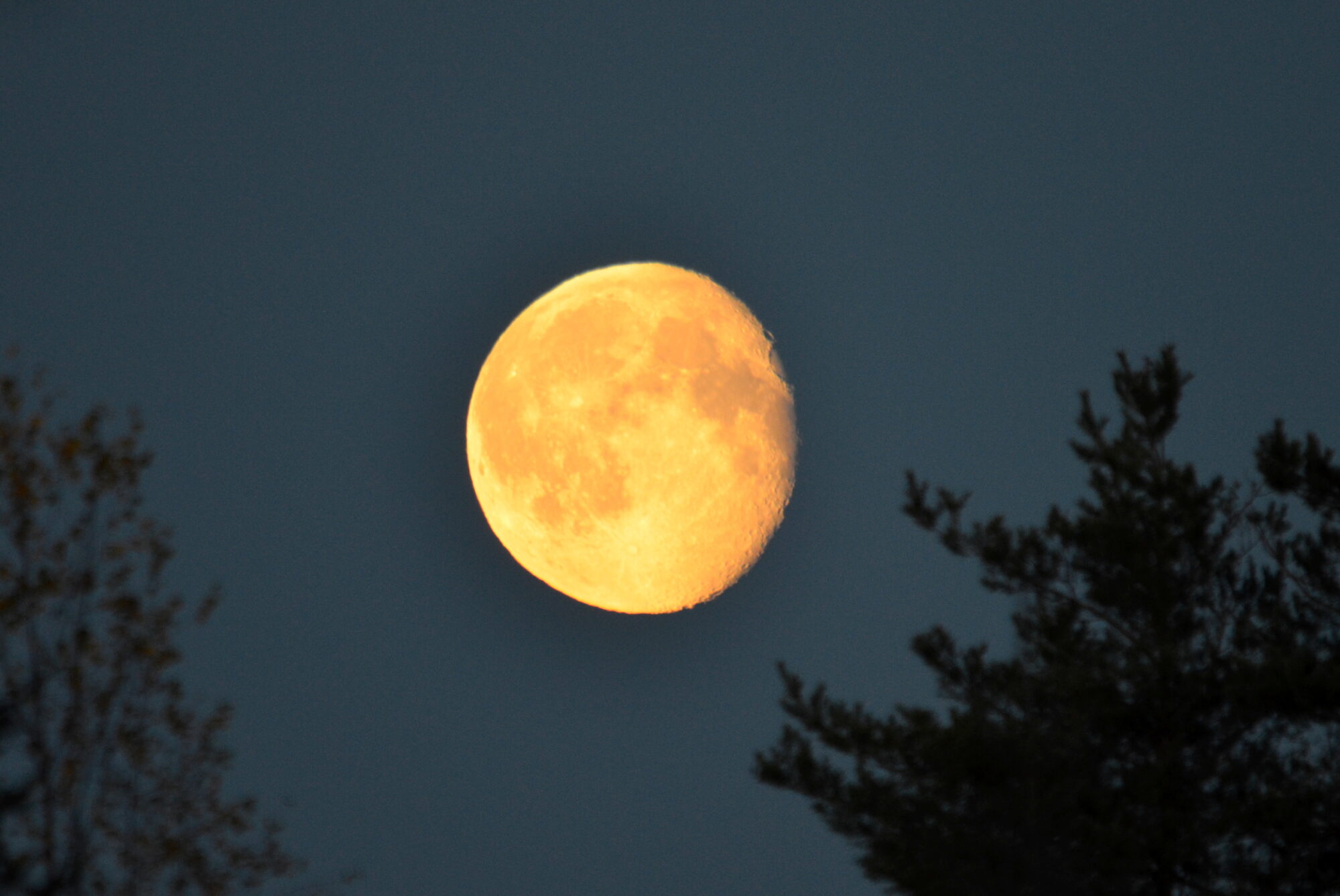 Valokuvaaja: Kaarlo Asikainen