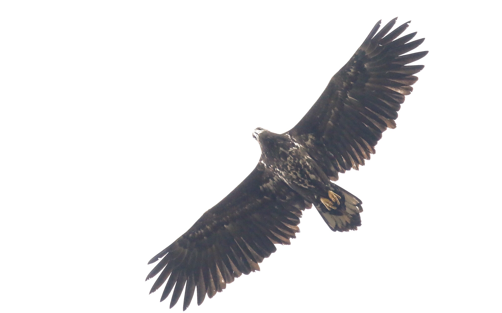 Valokuvaaja: Antero Tykyläinen