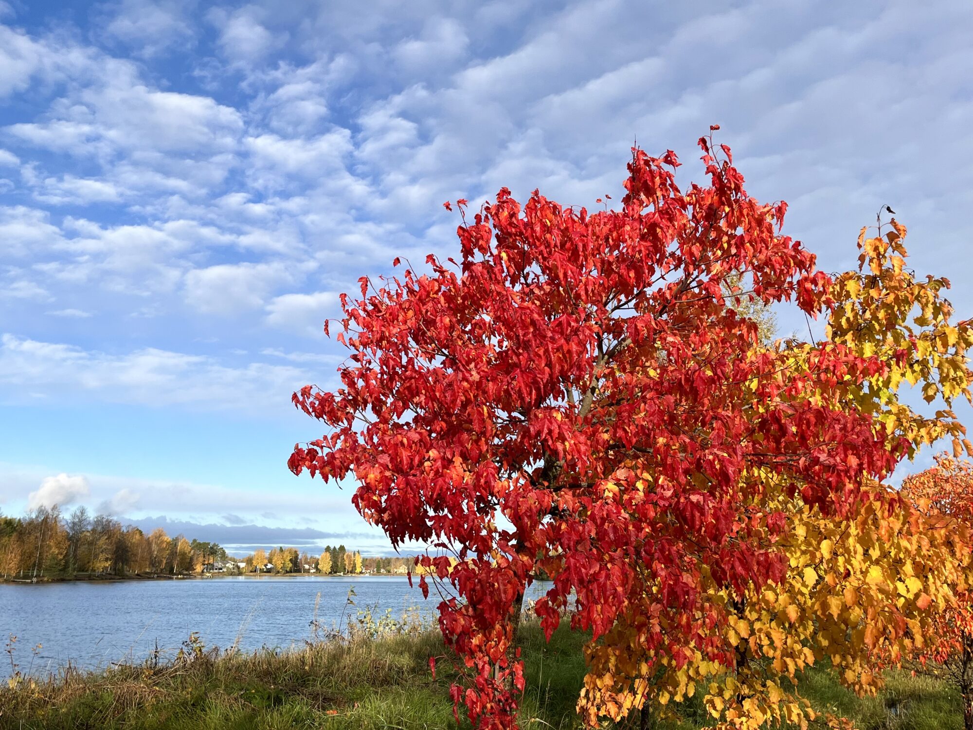 Valokuvaaja: Tuukka Pahtamaa