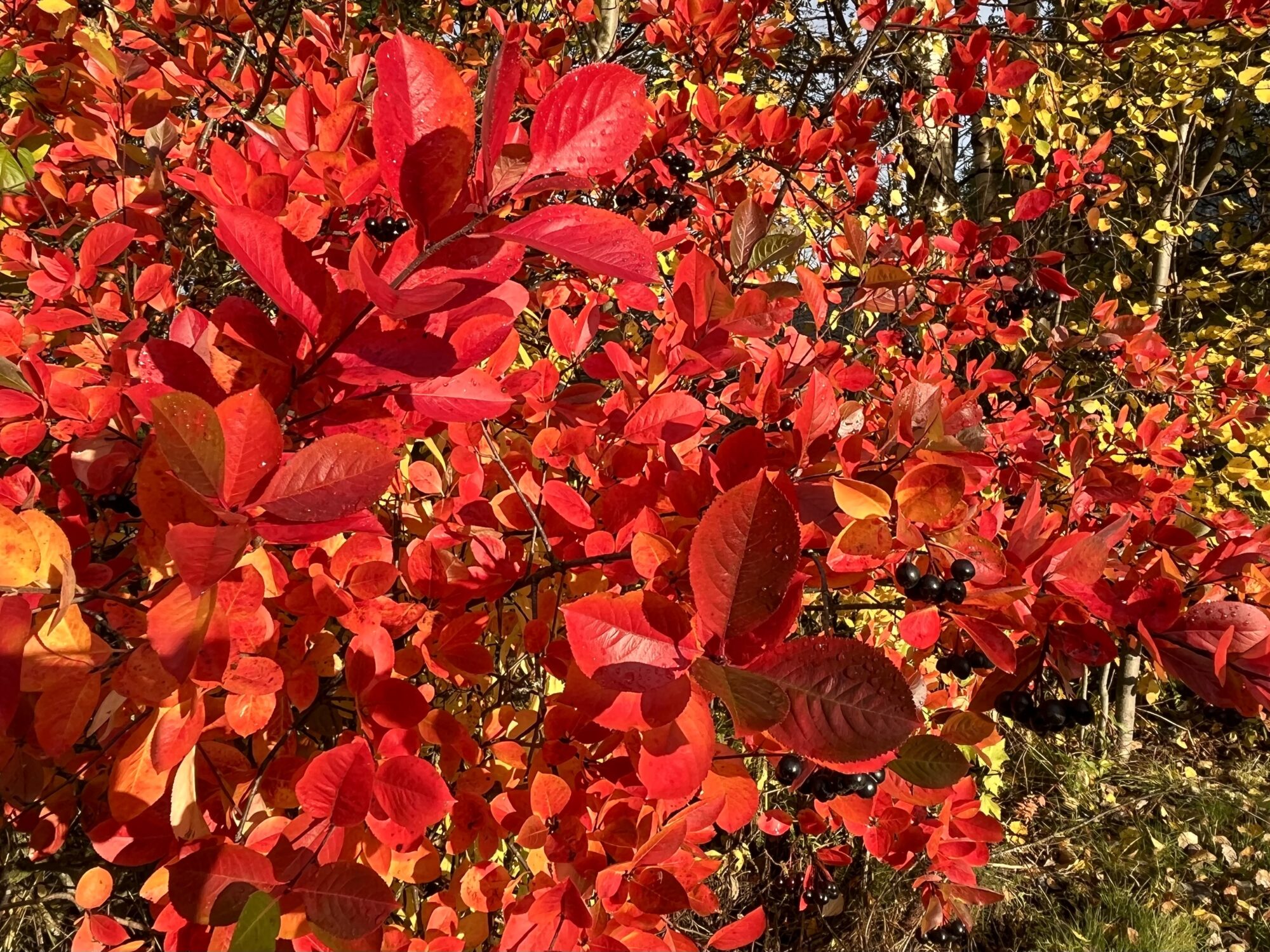 Valokuvaaja: Tuukka Pahtamaa