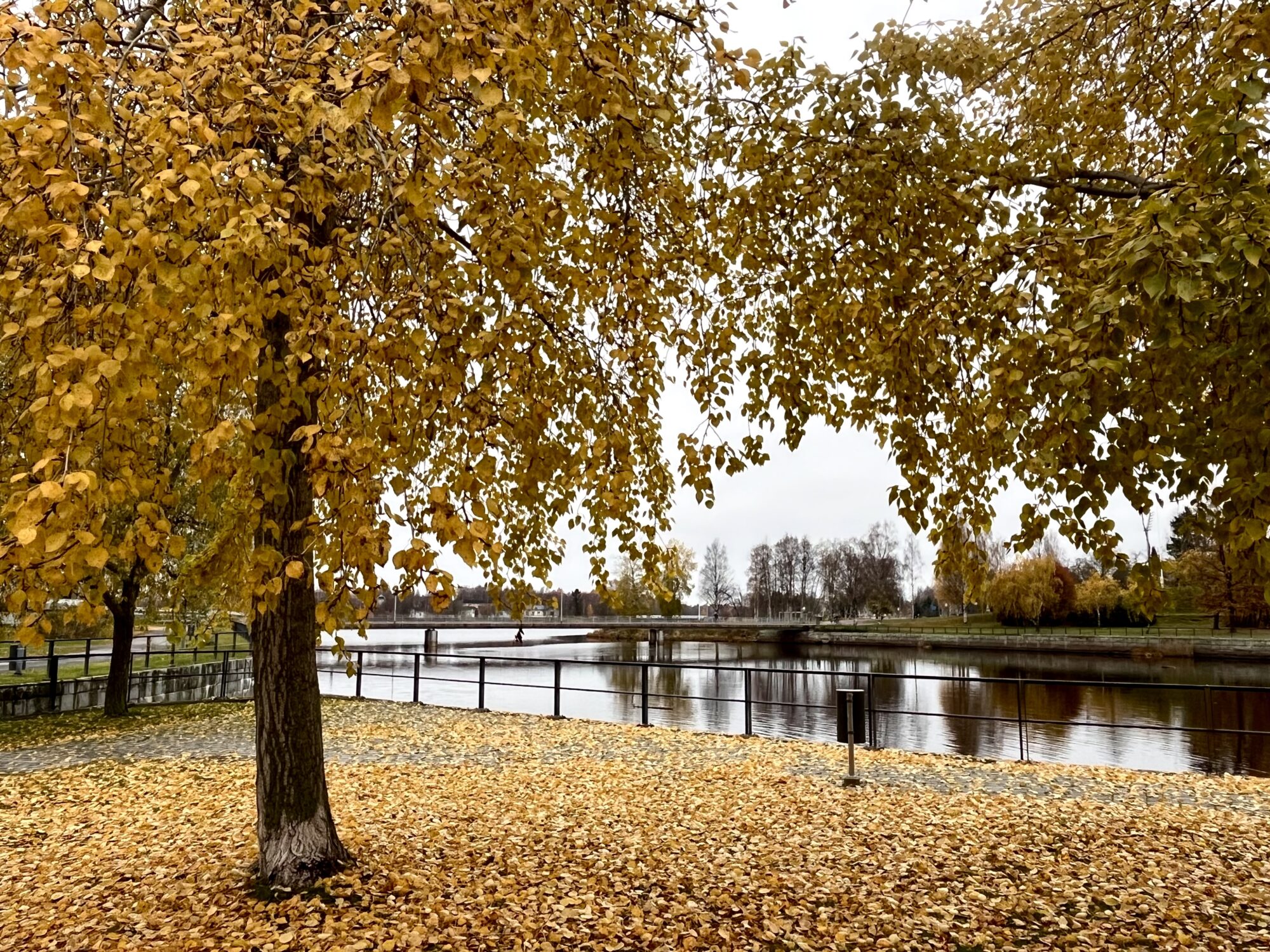 Valokuvaaja: tuukkapa@hotmail.com