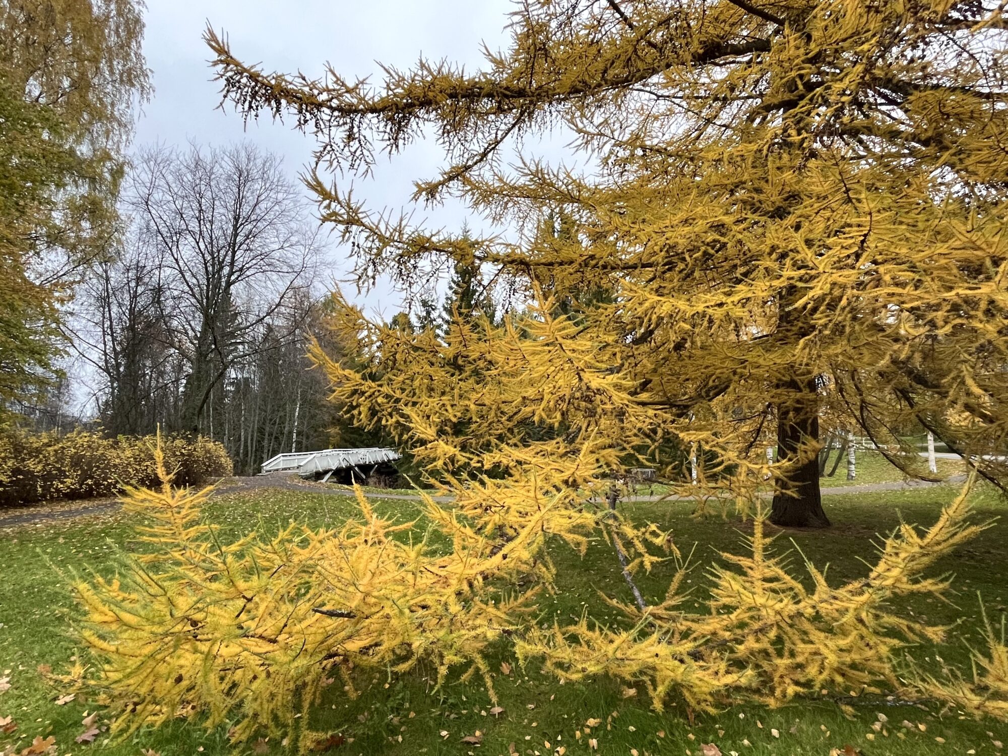 Valokuvaaja: Tuukka Pahtamaa